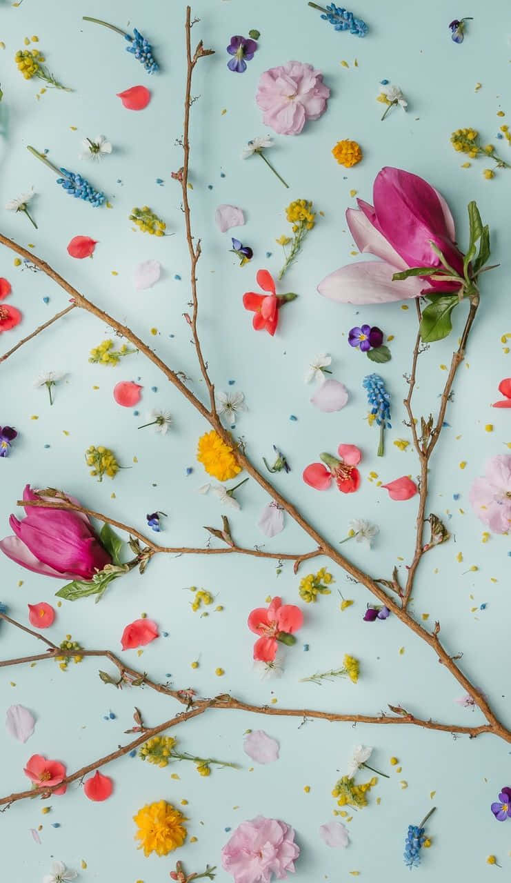Girly Aesthetic, colorful spring flowers, twigs, HD Phone Wallpaper