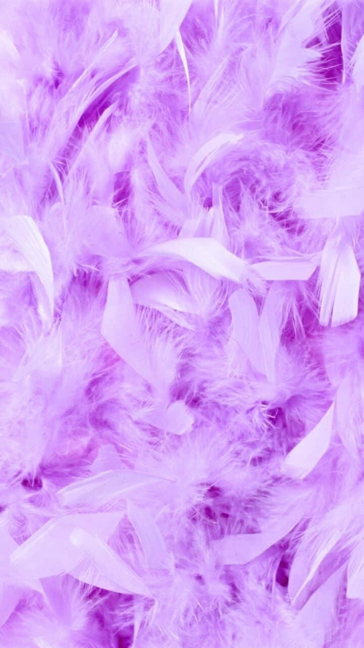 Girly Aesthetic, purple, bird feathers, HD Phone Wallpaper