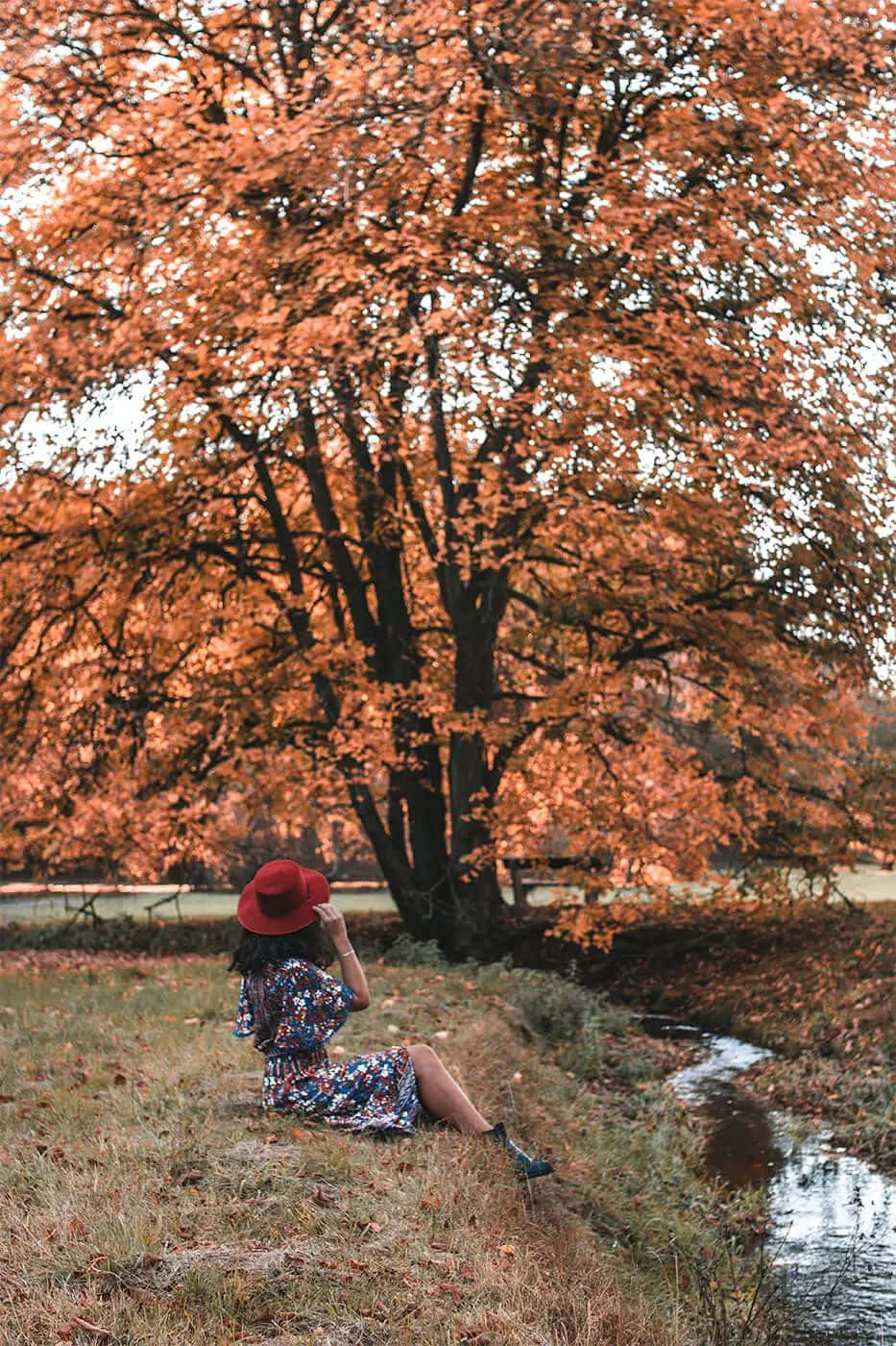 autumn mood woman under tree, red hat, floral dress, HD Phone Wallpaper
