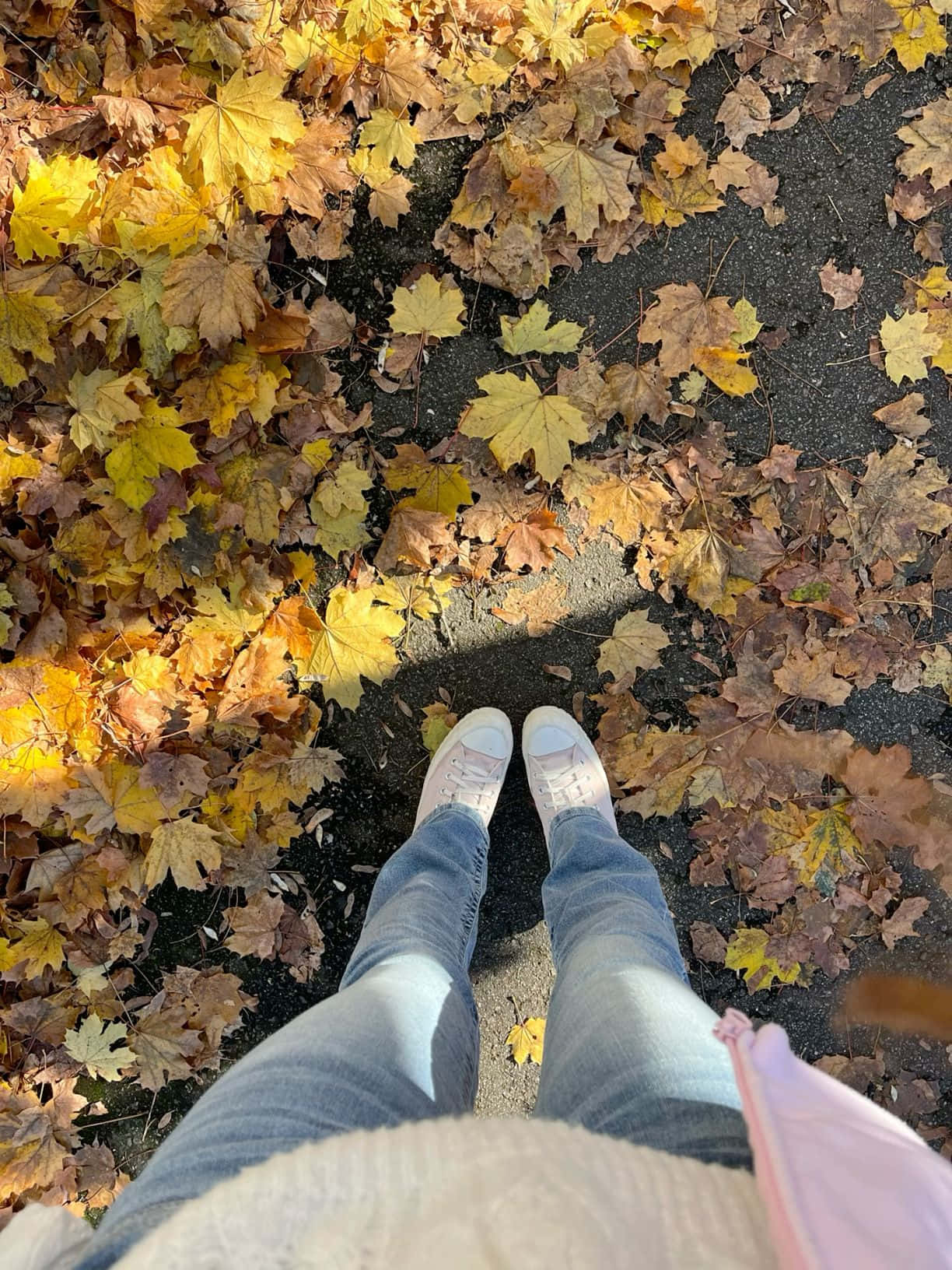 autumn walk, point of view, sneakers, HD Phone Wallpaper