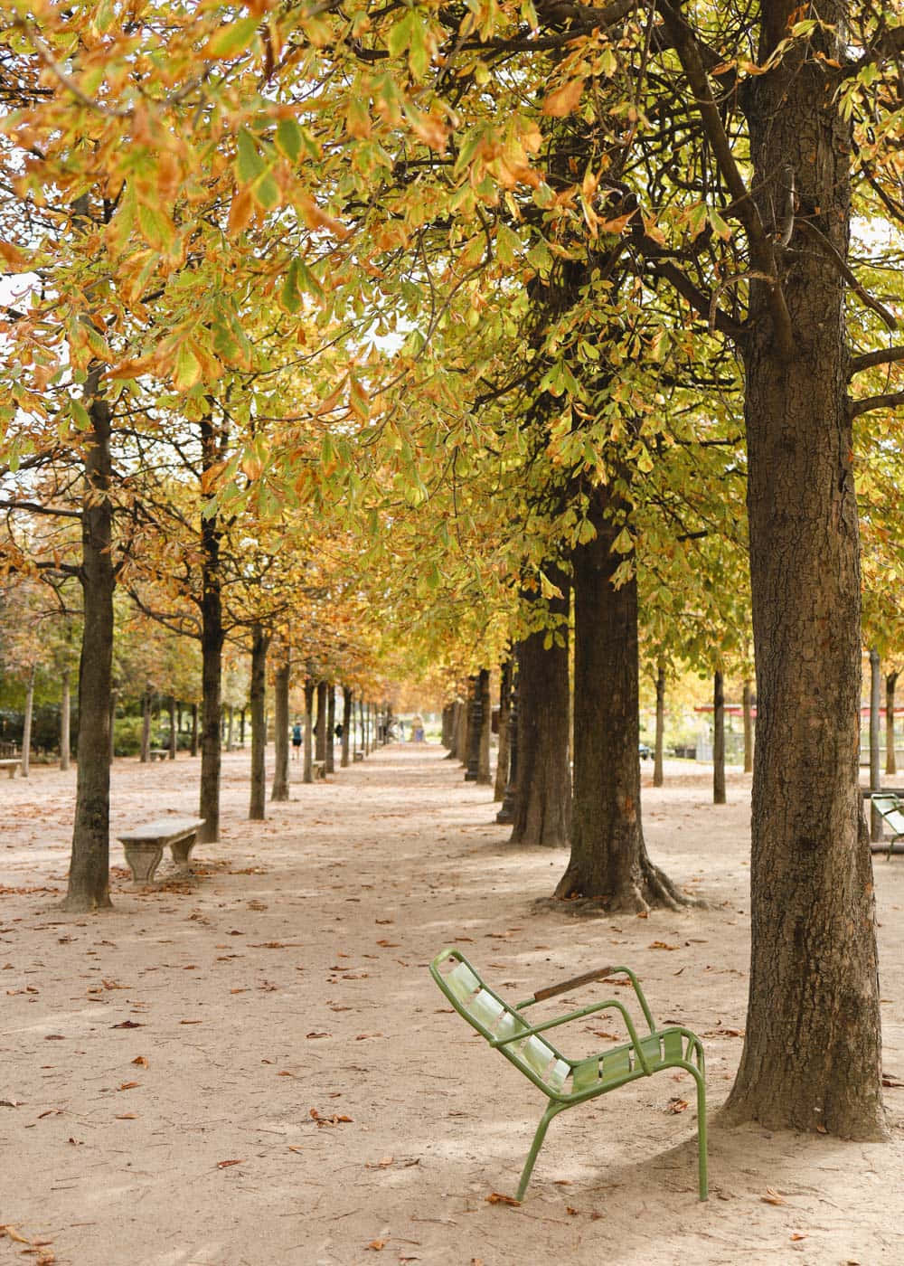 golden autumn leaves, tree-lined park pathway, lone green bench, HD Phone Wallpaper