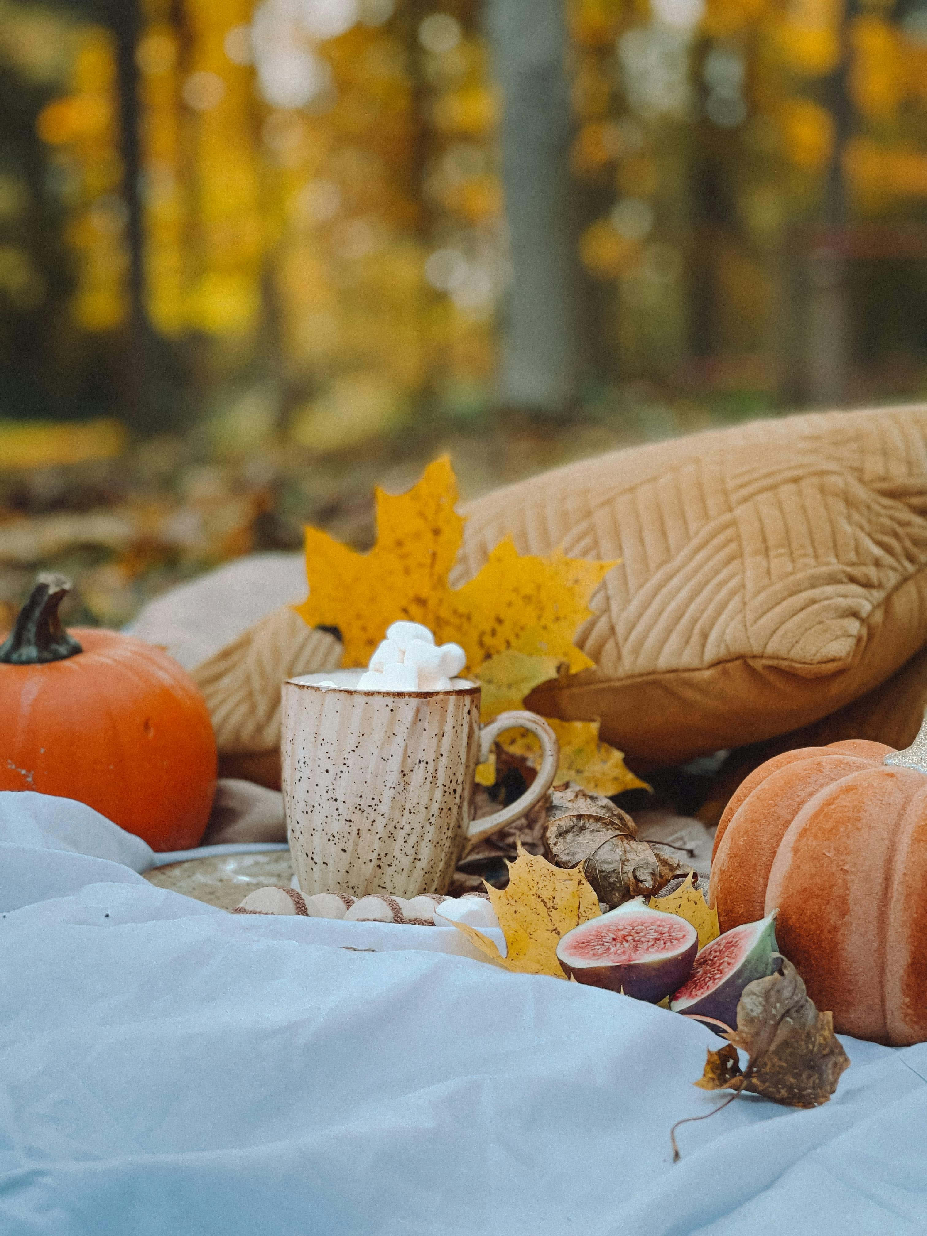 cozy autumn vibes, pumpkins, figs, 4K Phone Wallpaper