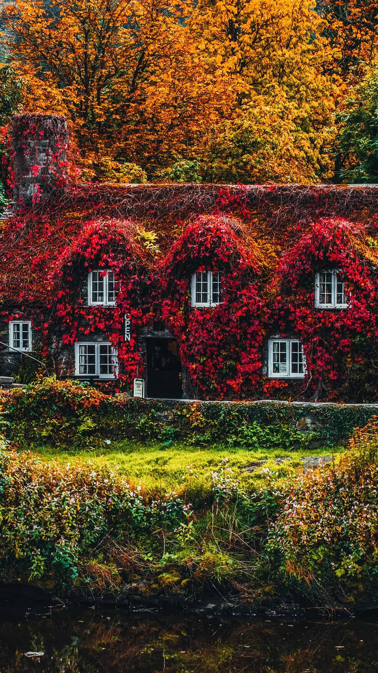 autumn enveloped cottage, stone cottage, vibrant red ivy, Full HD Phone Wallpaper