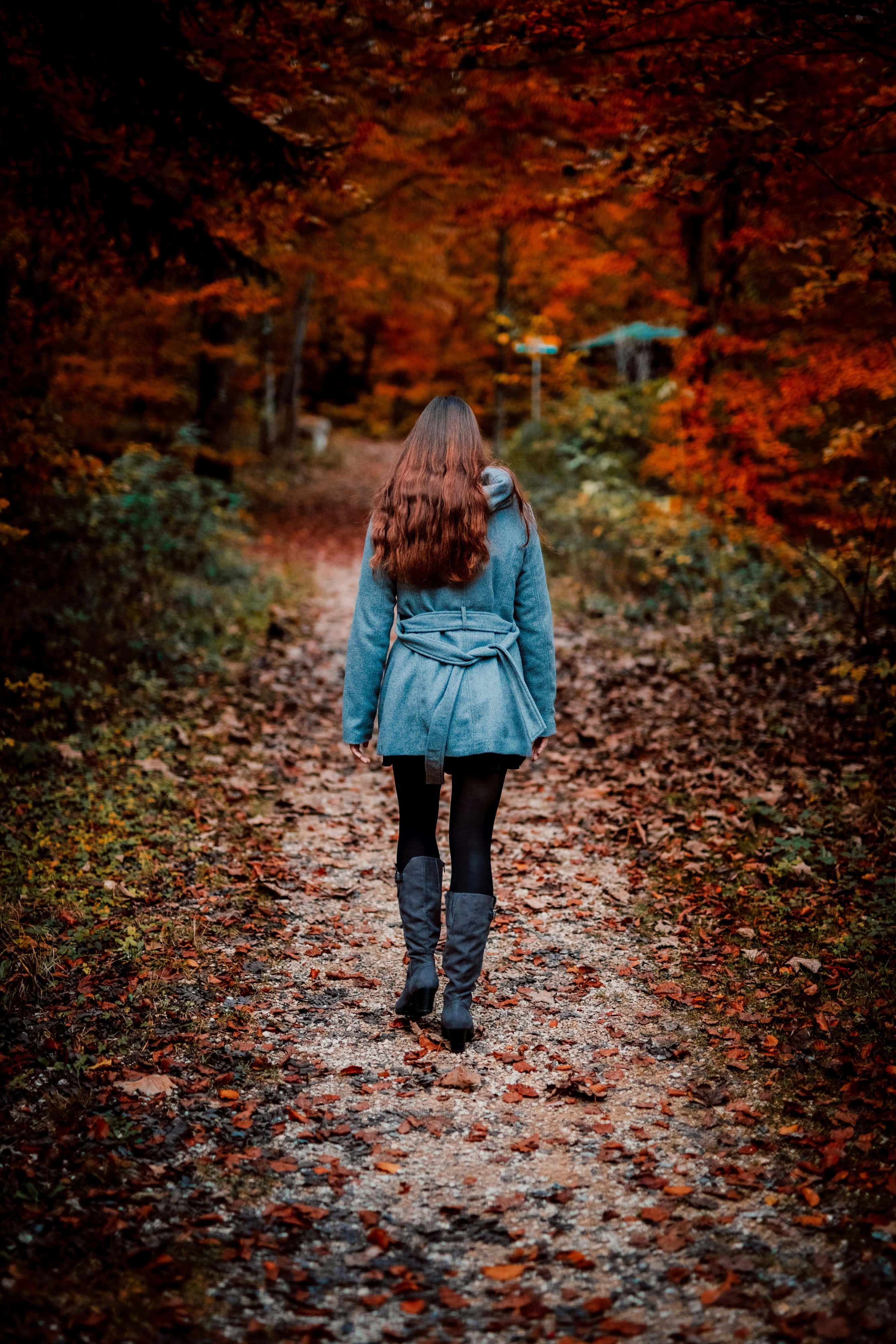 autumn strollin forest, blue coat, leaf-strewn forest path, 4K Phone Wallpaper