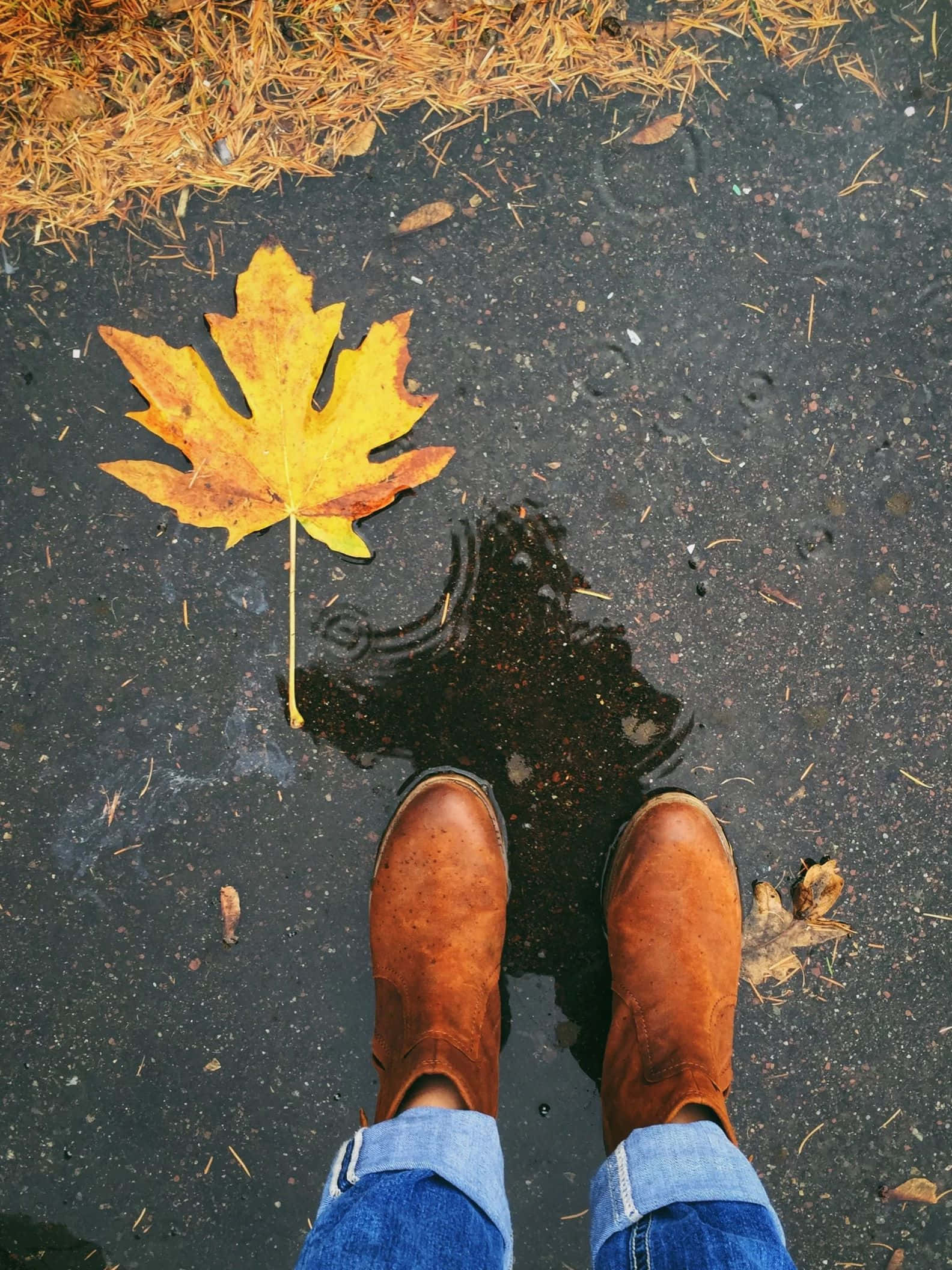 brown boots, vibrant yellow maple leaf, puddle, Full HD Phone Wallpaper