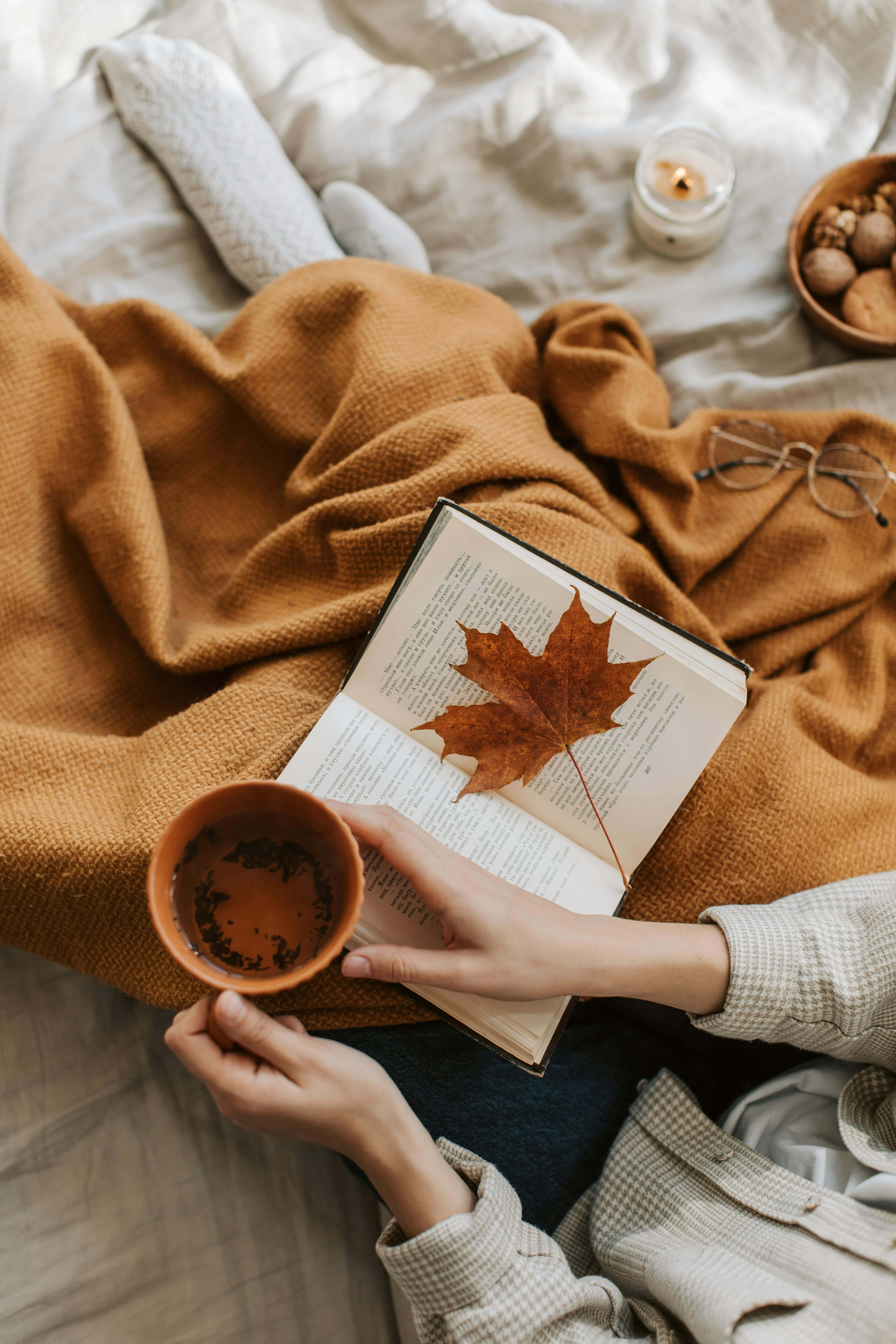 Cozy Autumn Readingwith Tea, maple leaf, tea cup, 5K Phone Wallpaper