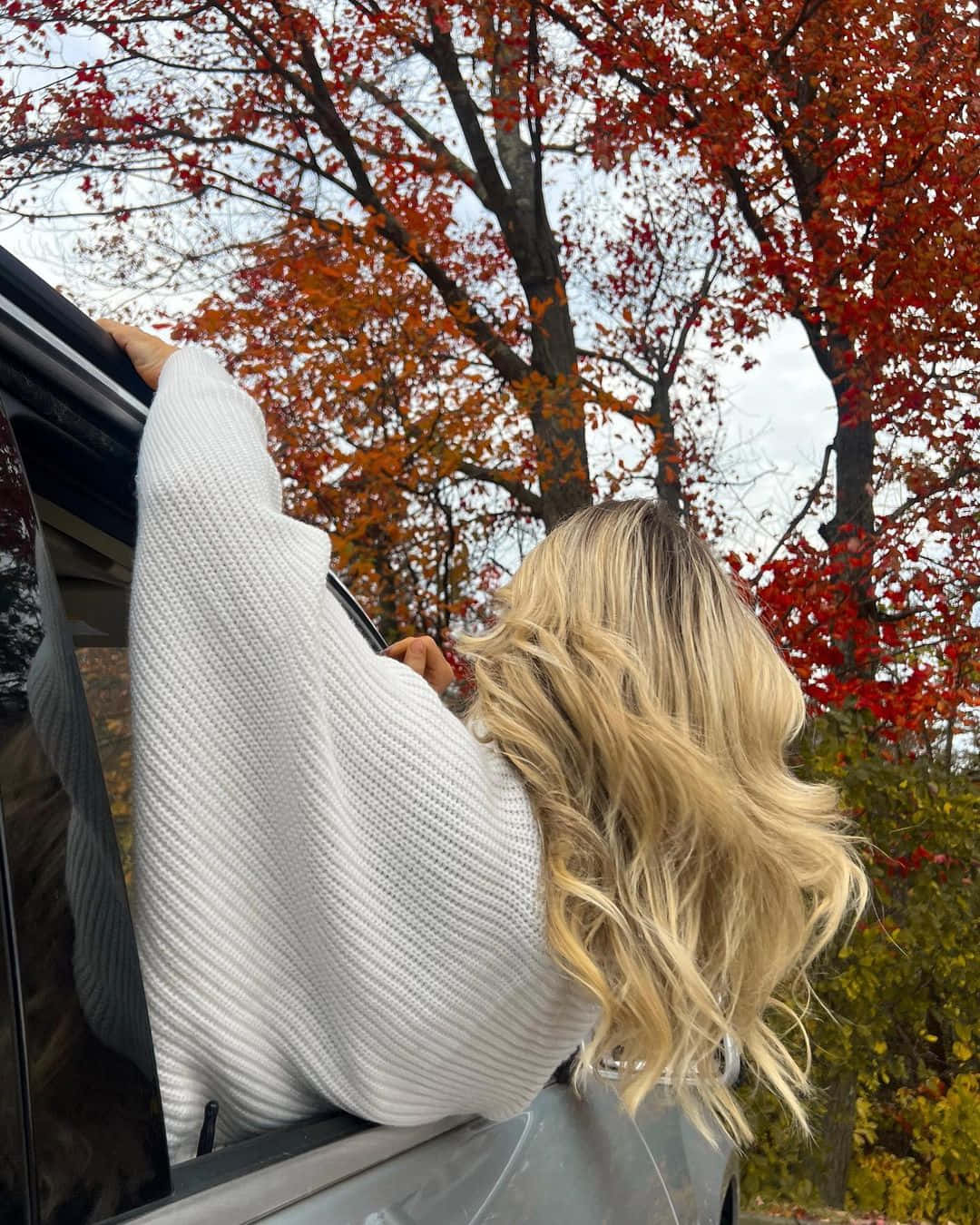 blonde hair, car window, vibrant red autumn trees, HD Phone Wallpaper