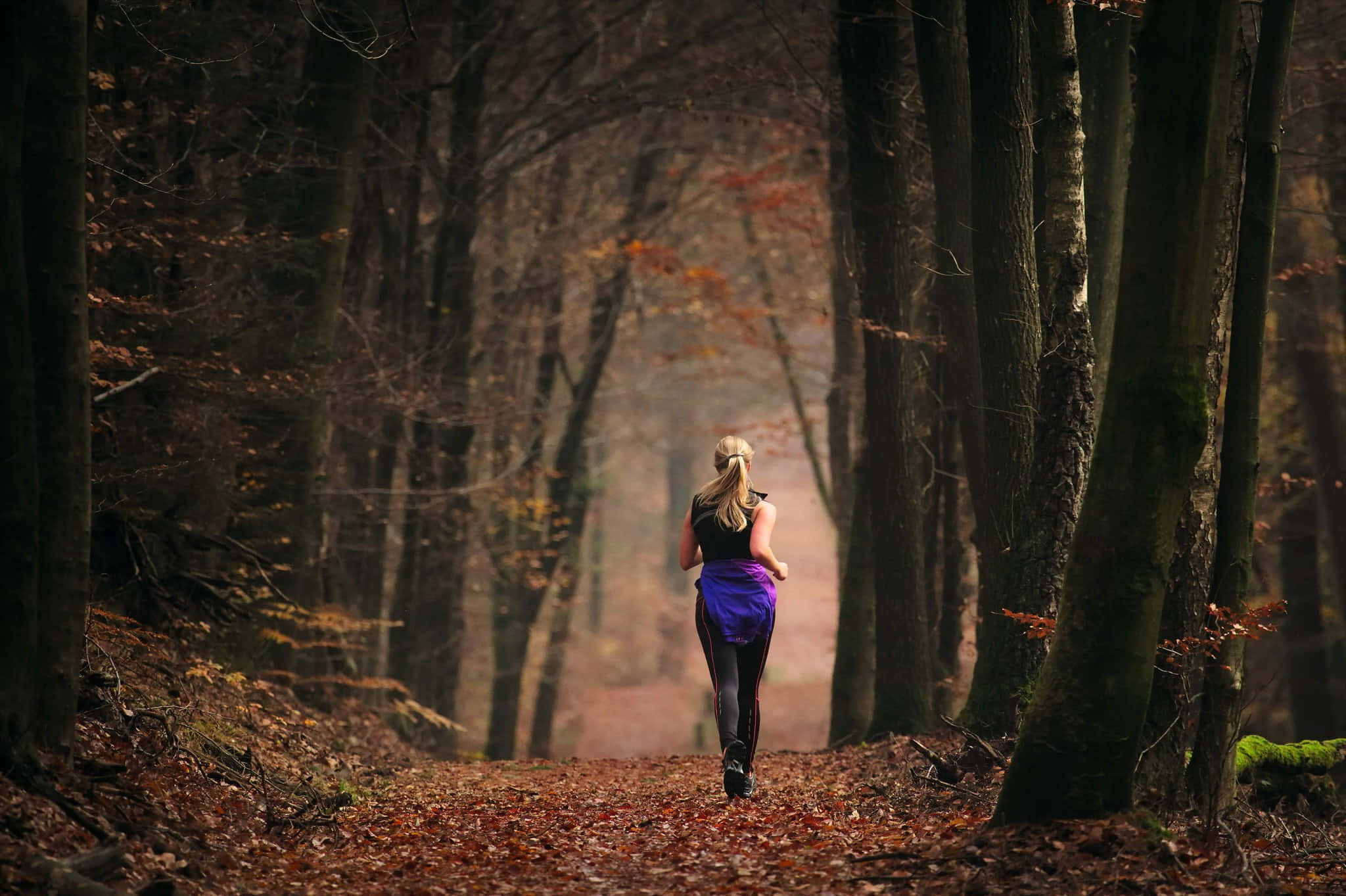 autumn jogging path, misty autumn forest path, tall trees, Full HD Desktop Wallpaper