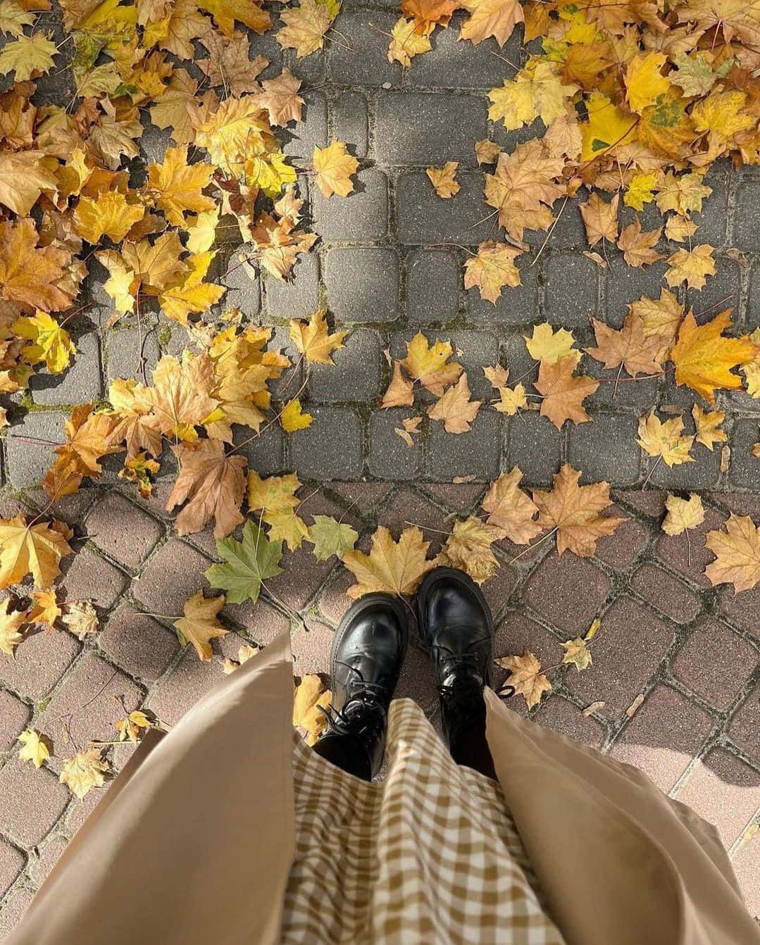 black boots, cobblestone path, golden autumn maple leaves, HD Phone Wallpaper