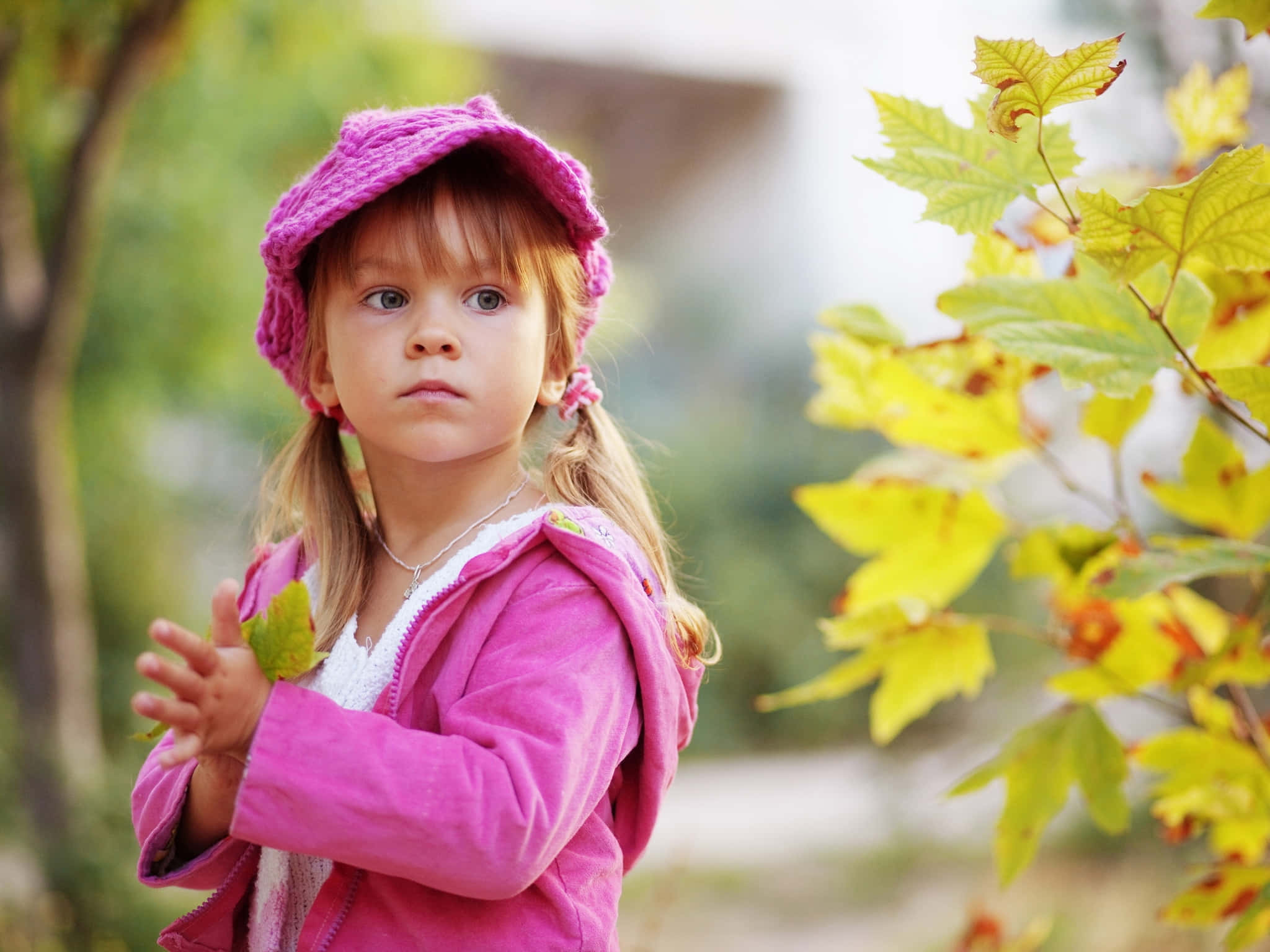 autumn child gaze, pink knit hat, jacket, Full HD Desktop Wallpaper