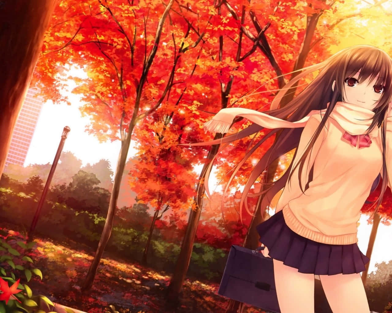 fall anime schoolgirl, autumn trees, golden sunlight, HD Desktop Wallpaper