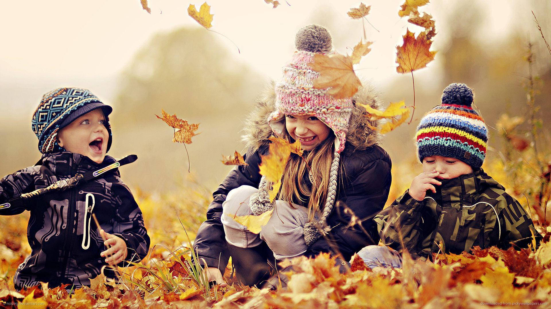 autumn field, golden maple leaves, colorful knit hats, Full HD Desktop Wallpaper