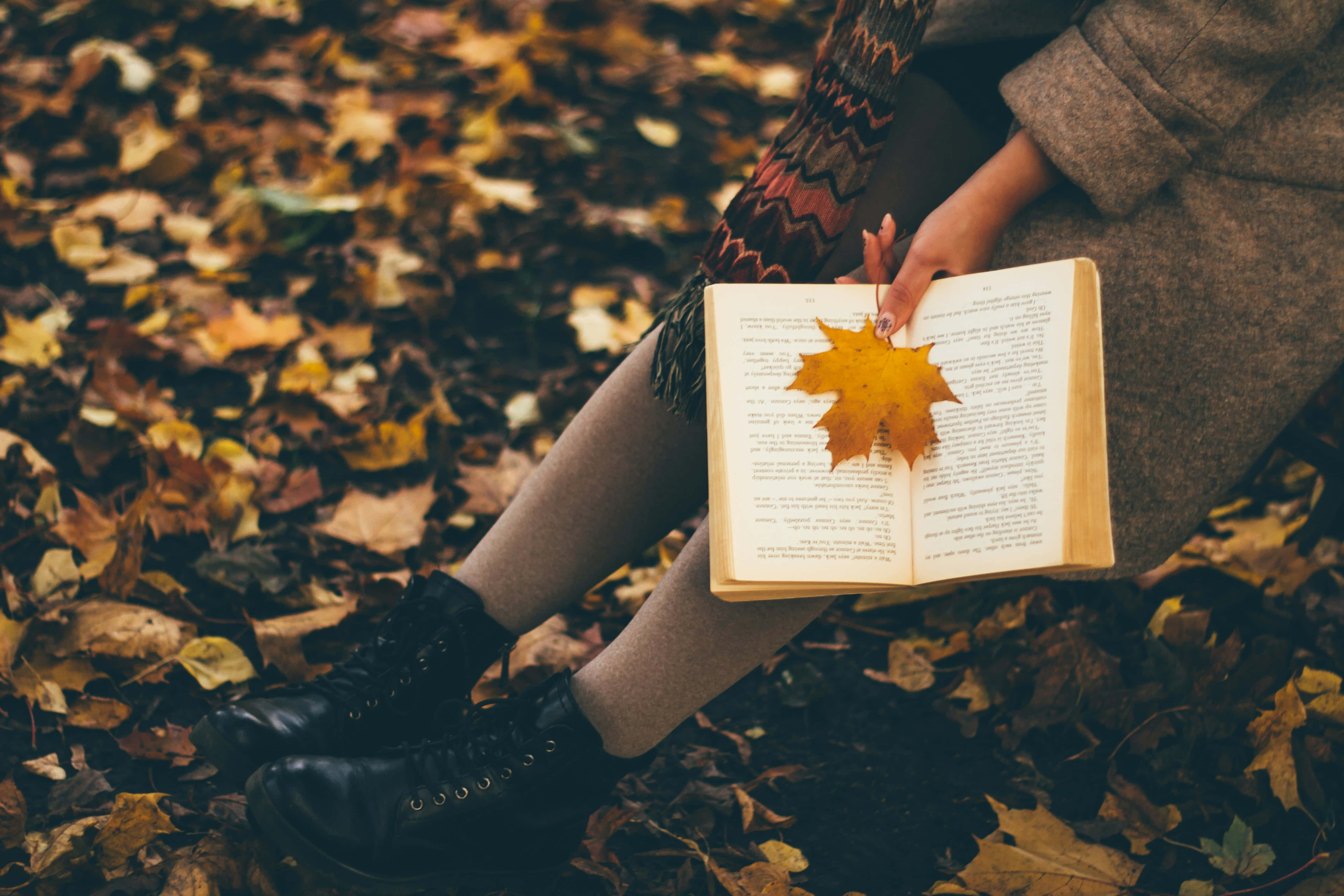autumn leaves, maple leaf, book, 5K Desktop Wallpaper