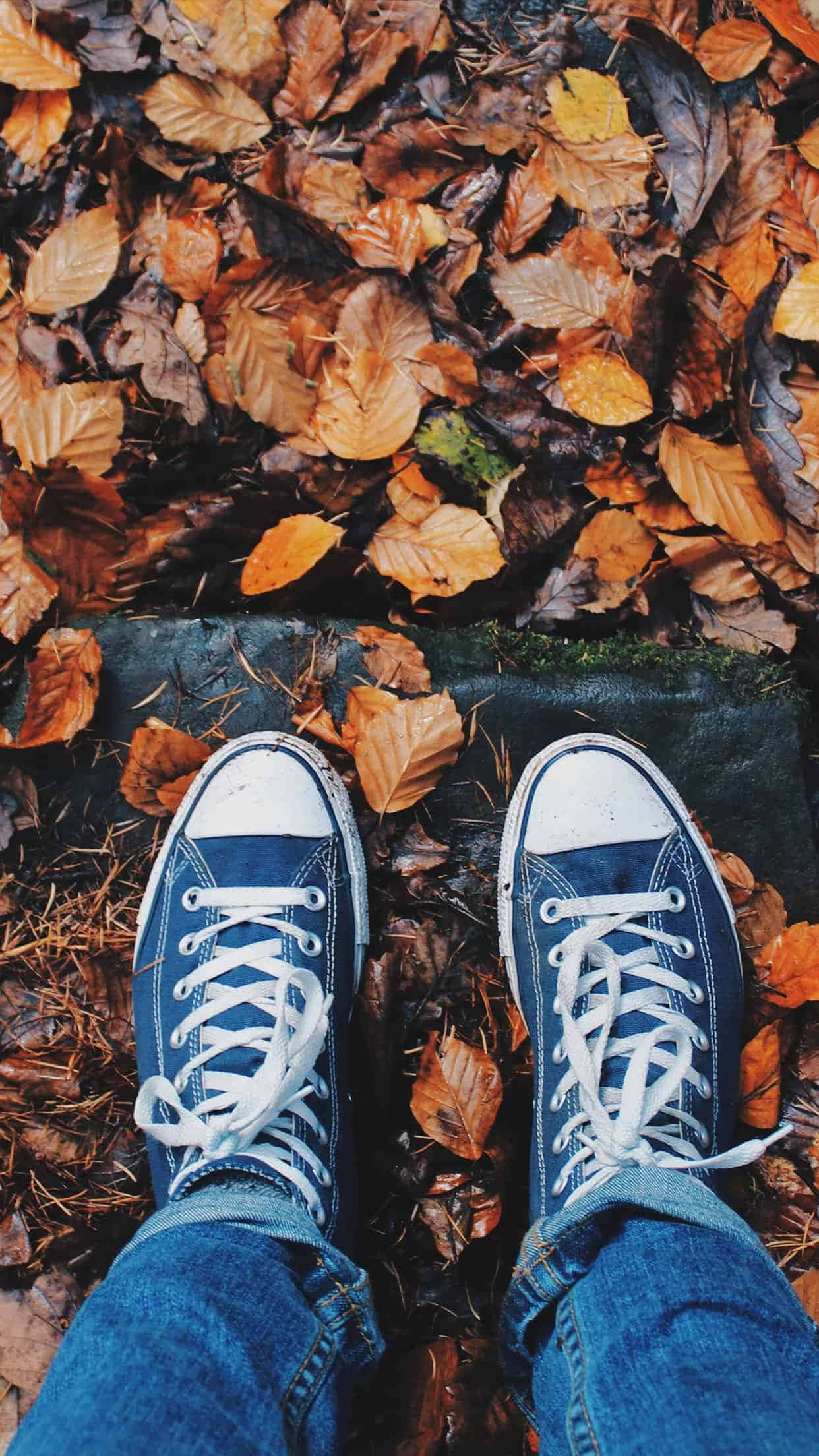 blue sneakers, white laces, autumn leaves, Full HD Phone Wallpaper