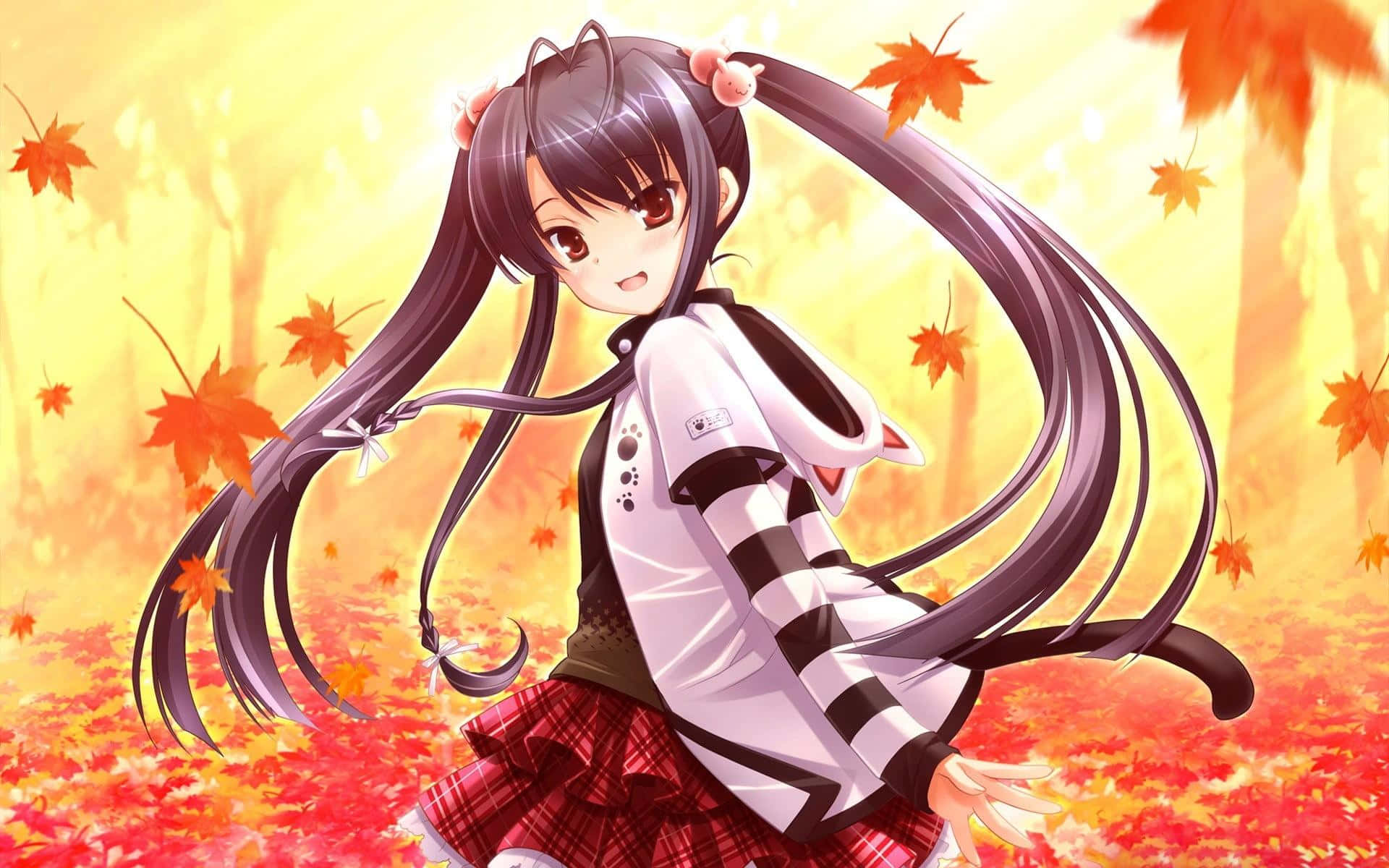 autumn anime girl, long dark pigtails, vibrant autumn forest, Full HD Desktop Wallpaper