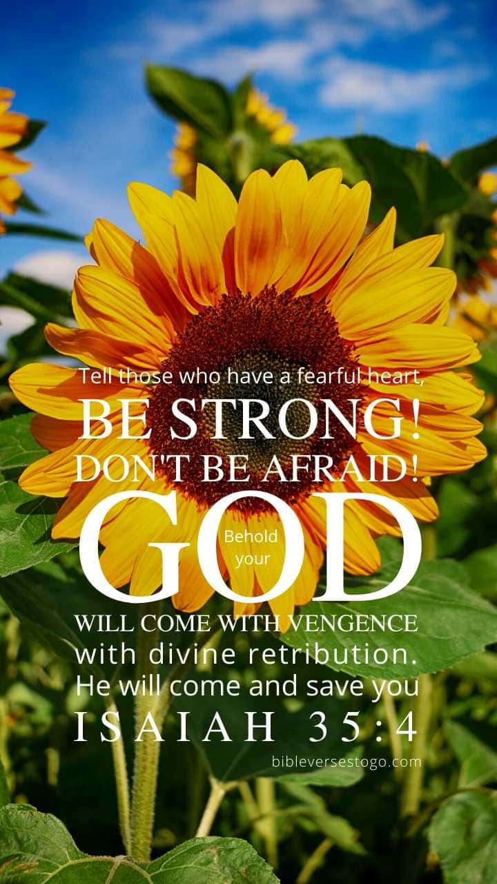 Girly Bible Verse, sunflower field, bright blue sky, HD Phone Wallpaper