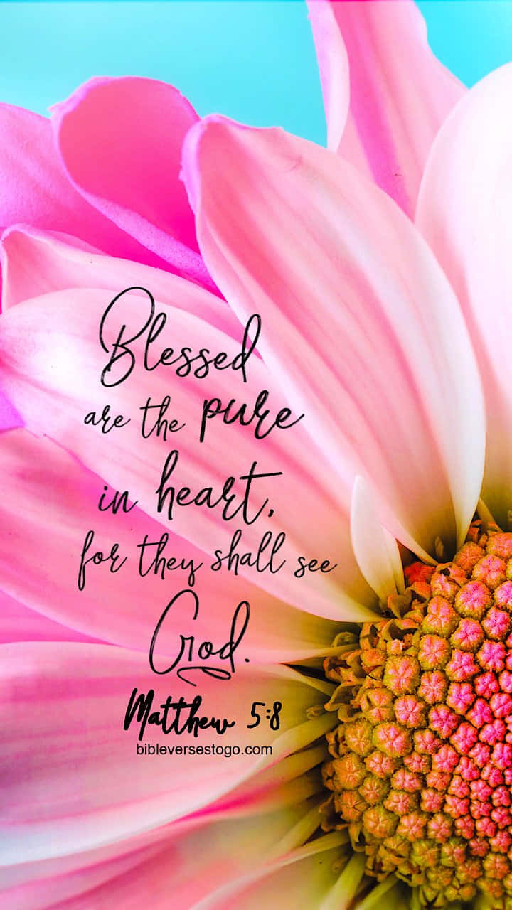 Pink Flower, Girly Bible Verse, elegant cursive, HD Phone Wallpaper