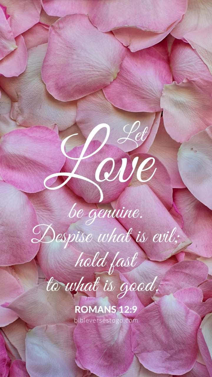 Romans 12:9, soft pink rose petals, elegant white script, HD Phone Wallpaper