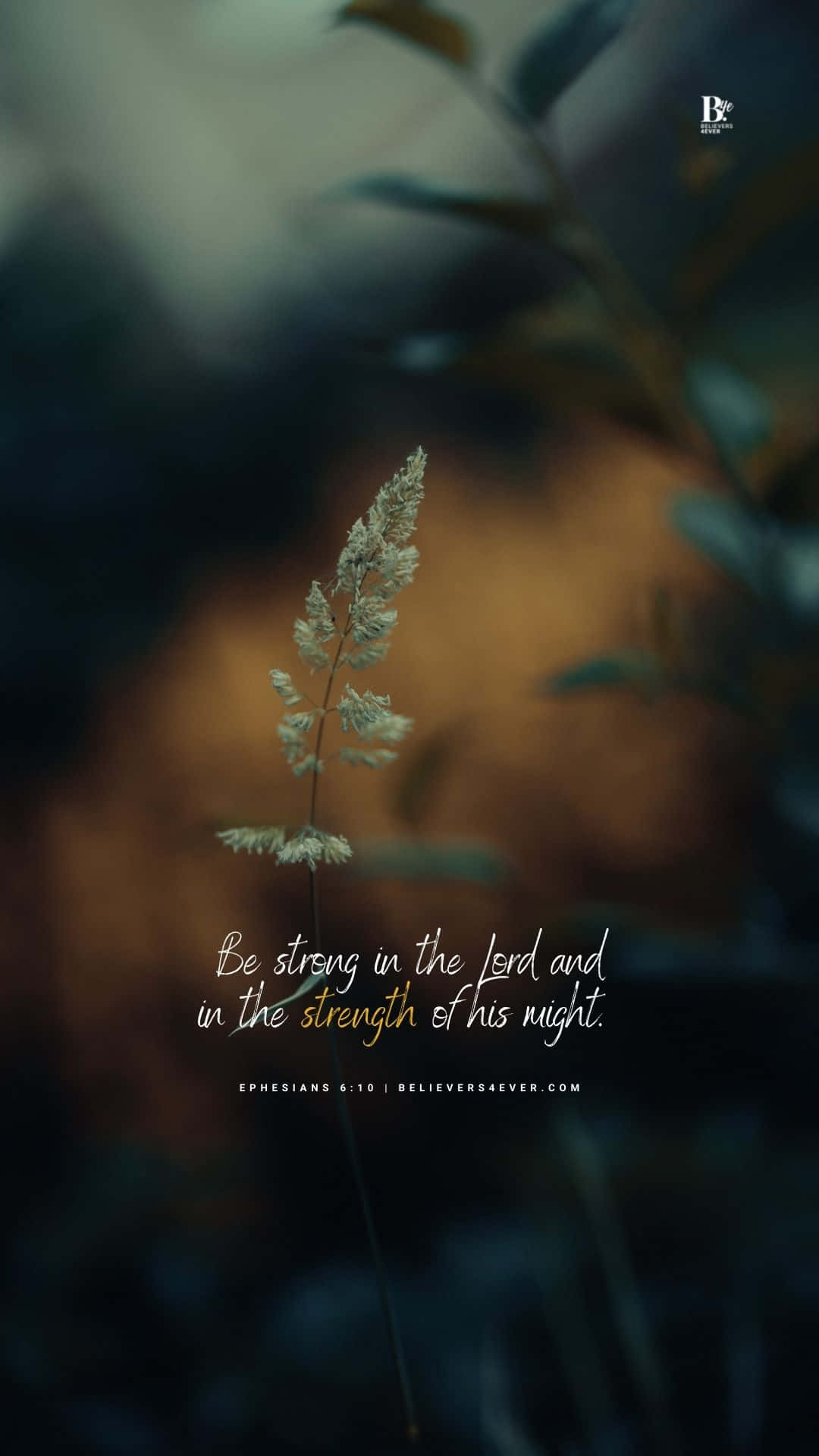 Girly Bible Verse, delicate grass stalk, softly blurred forest, Full HD Phone Wallpaper