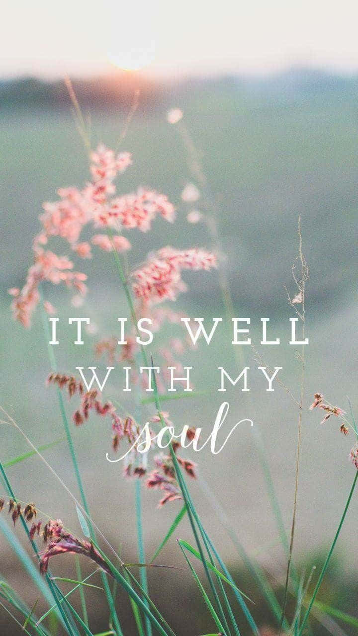 Girly Christian, soft pink grasses, sunlit field, HD Phone Wallpaper