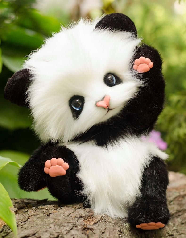 Girly Cute Panda, fluffy plush panda, bright blue eyes, SD Phone Wallpaper