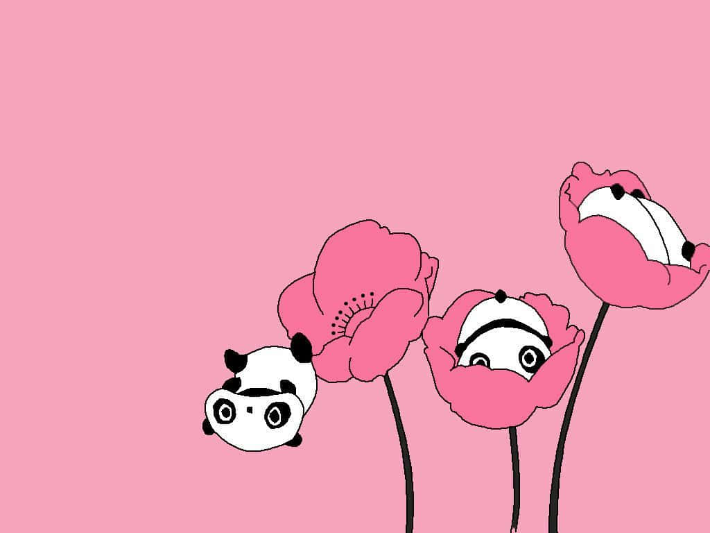 Girly Cute Panda, pink poppies, cartoon panda faces, SD Desktop Wallpaper