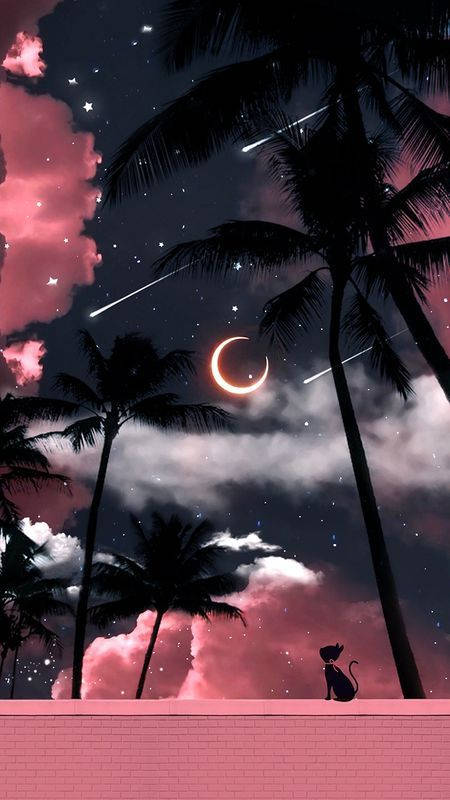 Girly Galaxy, pink wall, palm trees, SD Phone Wallpaper