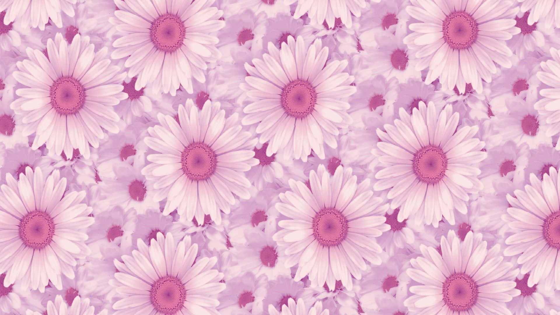 girly laptop, pink, lavender, Full HD Desktop Wallpaper