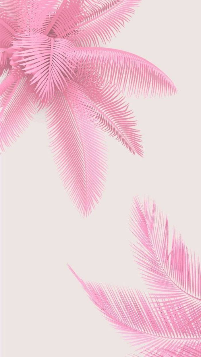 pink palm fronds, soft beige background, minimalist tropical design, SD Phone Wallpaper