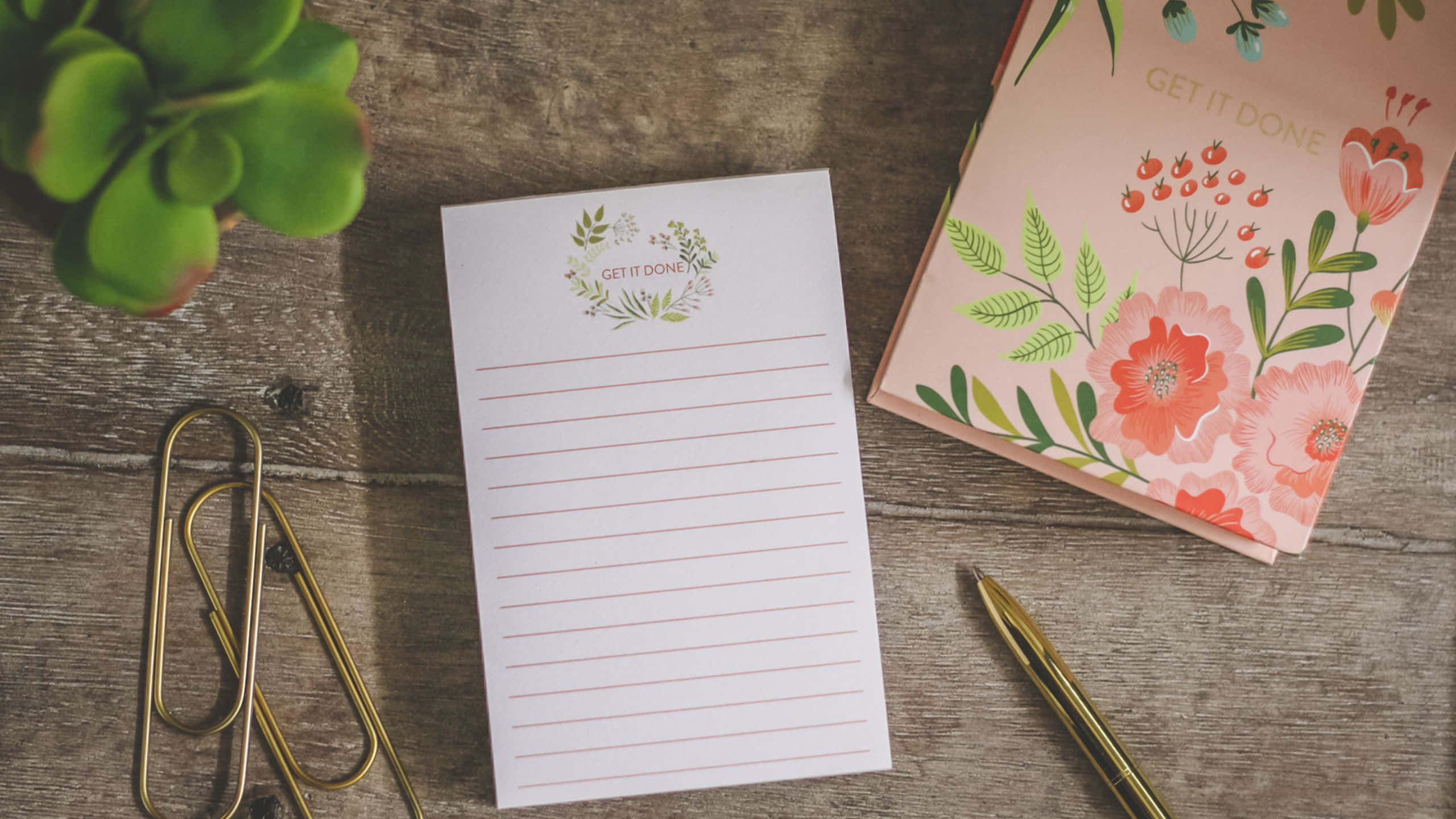 floral notebook notepad, gold paper clips, succulent plant, 2K Desktop Wallpaper
