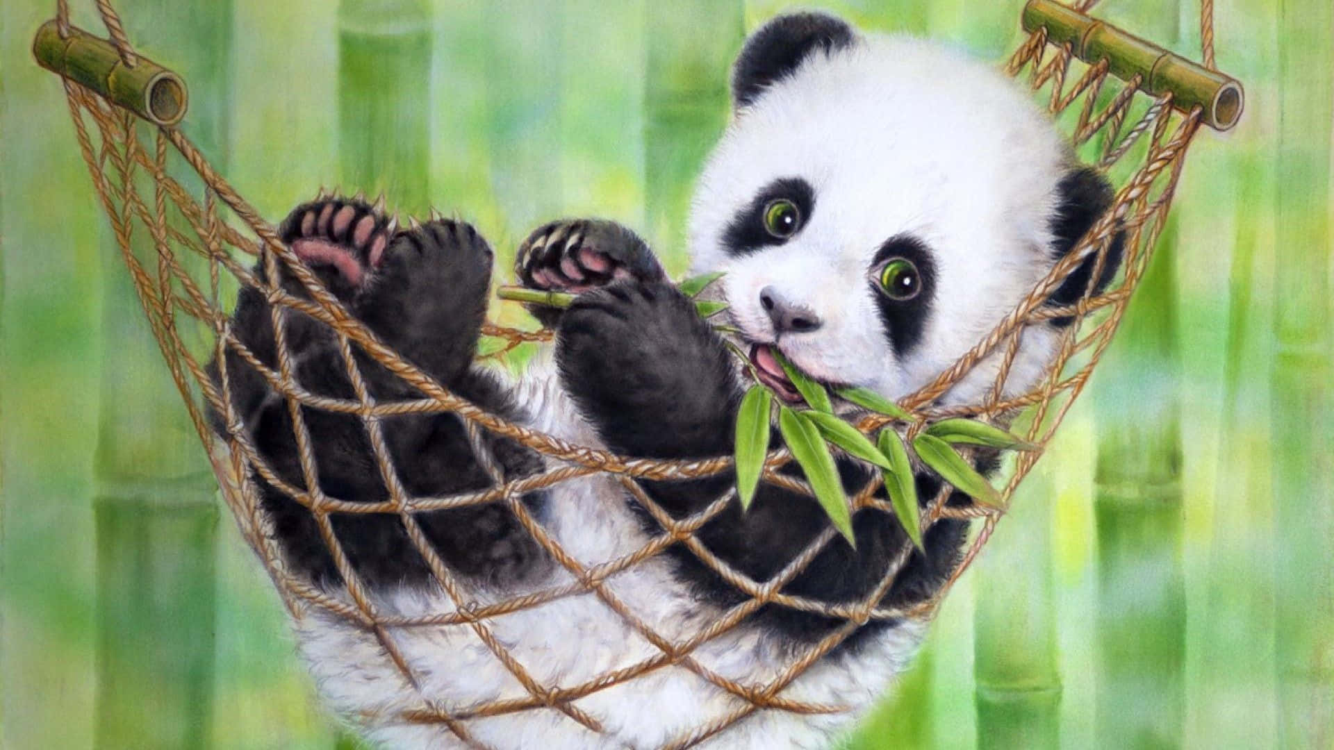 panda cub, rope hammock, bamboo leaves, Full HD Desktop Wallpaper