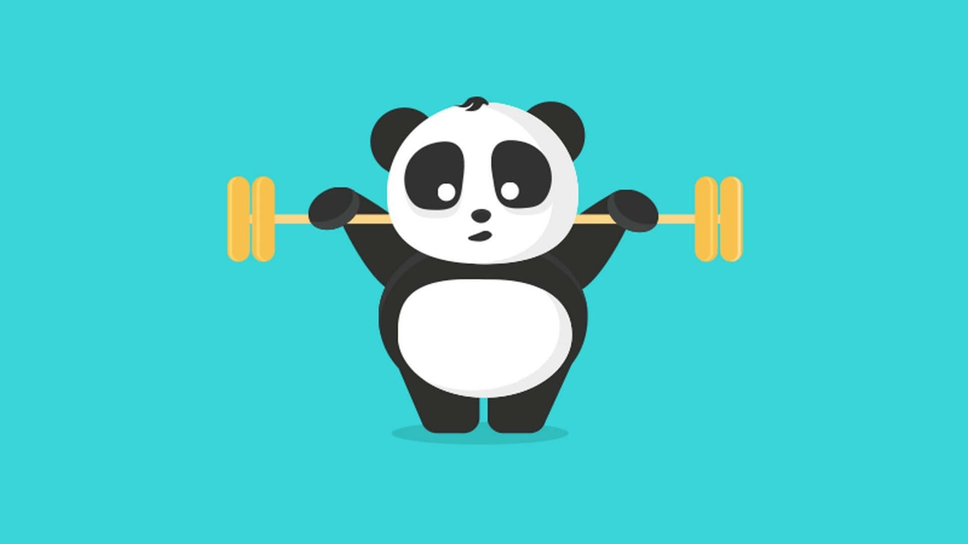 Girly Panda, panda, yellow barbell, Full HD Desktop Wallpaper