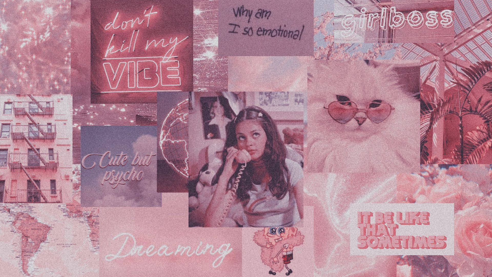 girly pink aesthetic, woman on a phone, cat in sunglasses, Full HD Desktop Wallpaper