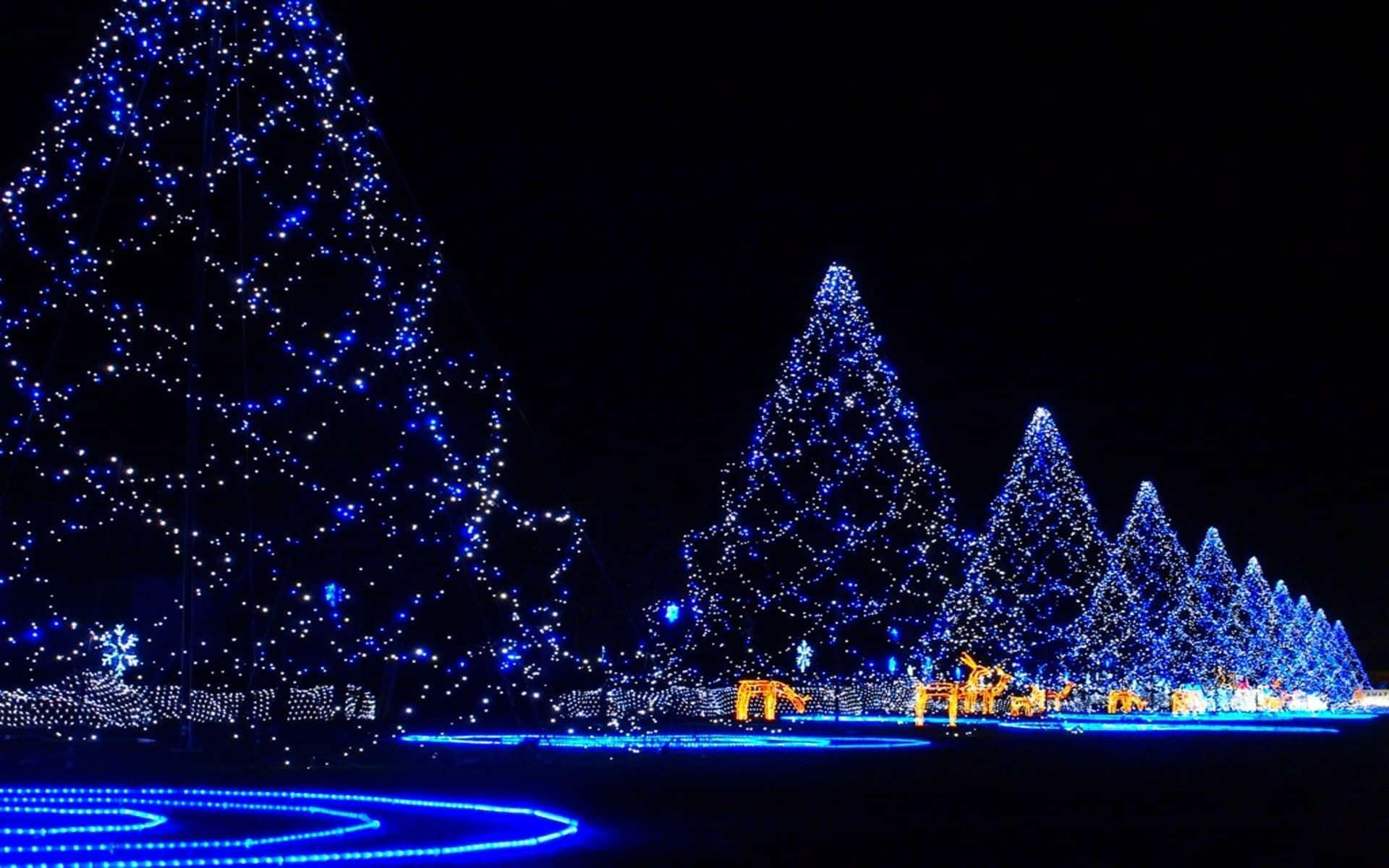 Girly Xmas, blue Christmas trees, dark night sky, Full HD Desktop Wallpaper