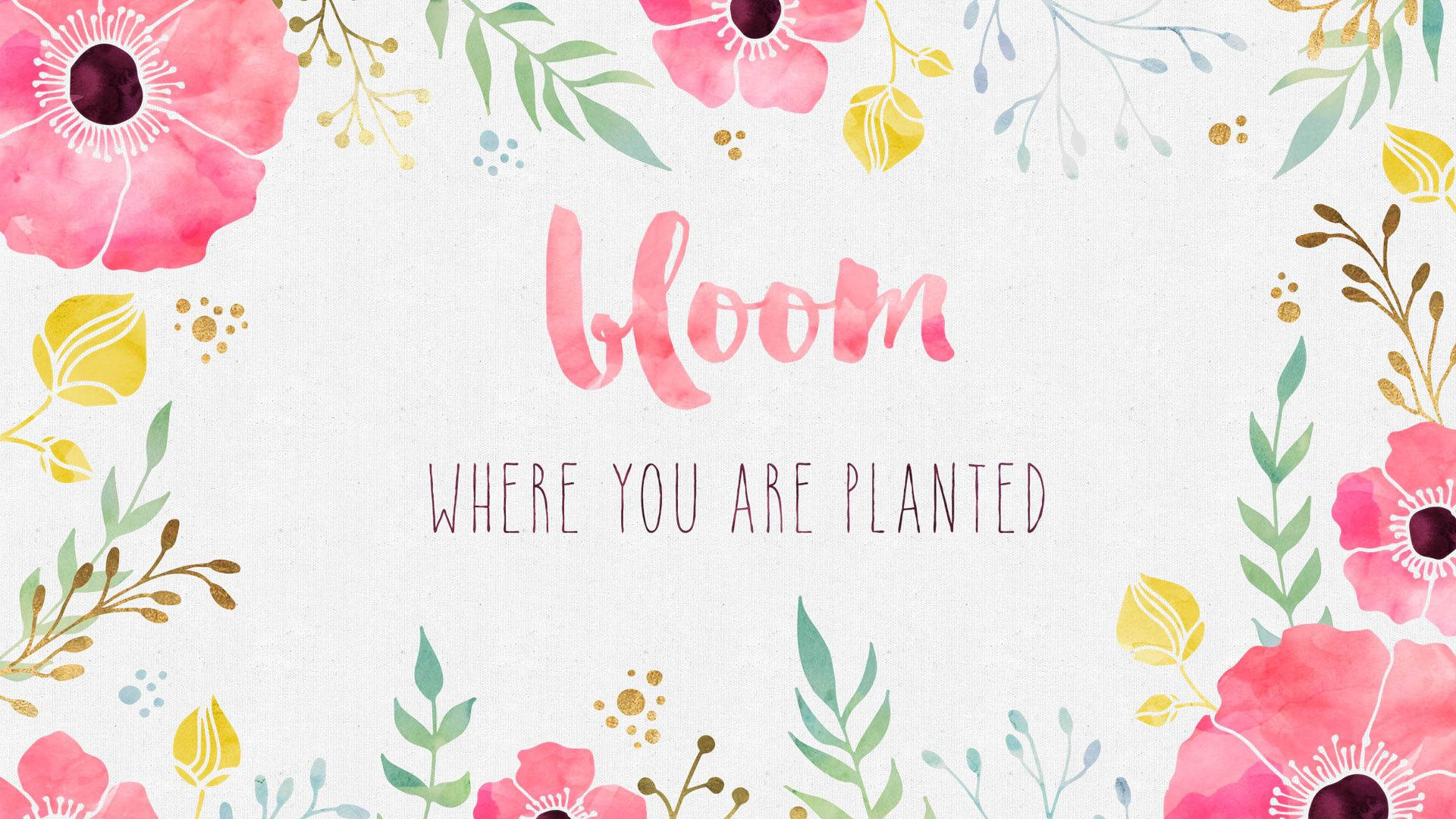 pink bloom, watercolor floral border, pink script, Full HD Desktop Wallpaper