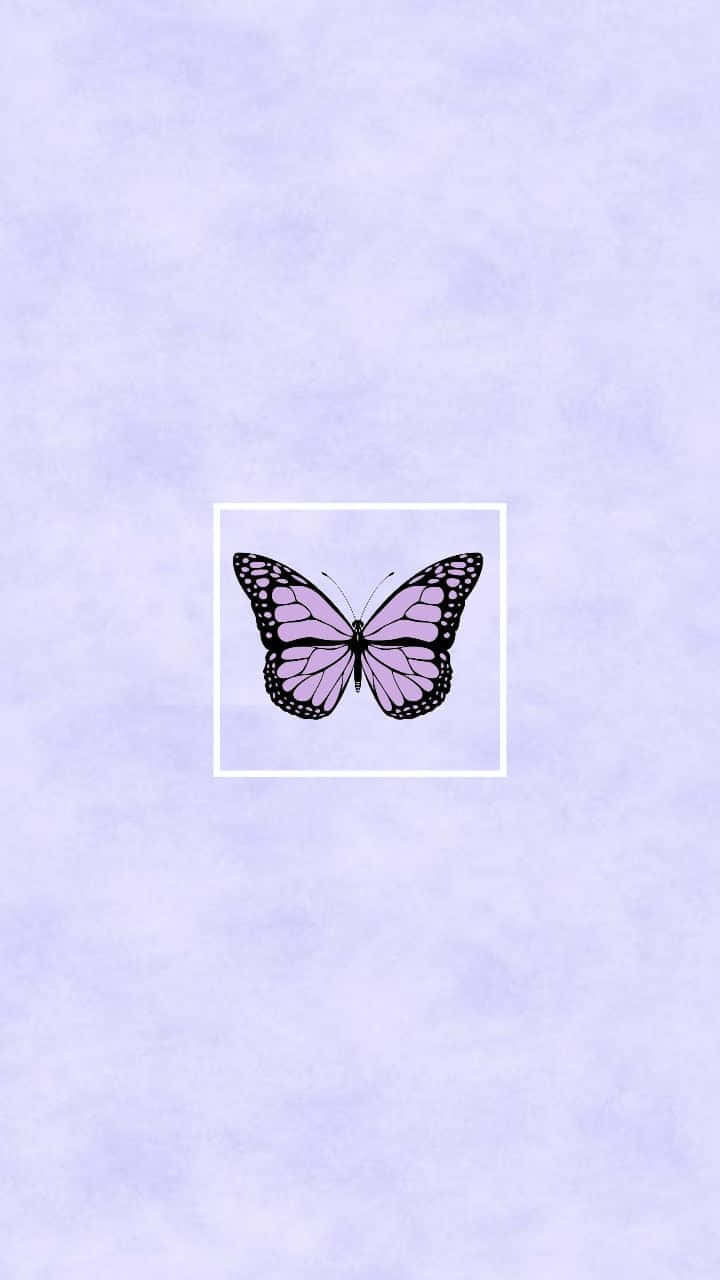 cute purple butterfly, purple butterfly, black outlines, HD Phone Wallpaper