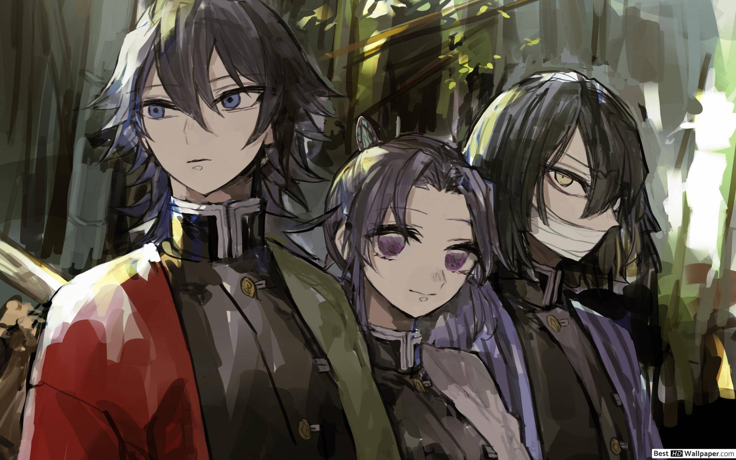Giyuu Tomioka, dark hair, intense eyes, 2K Desktop Wallpaper