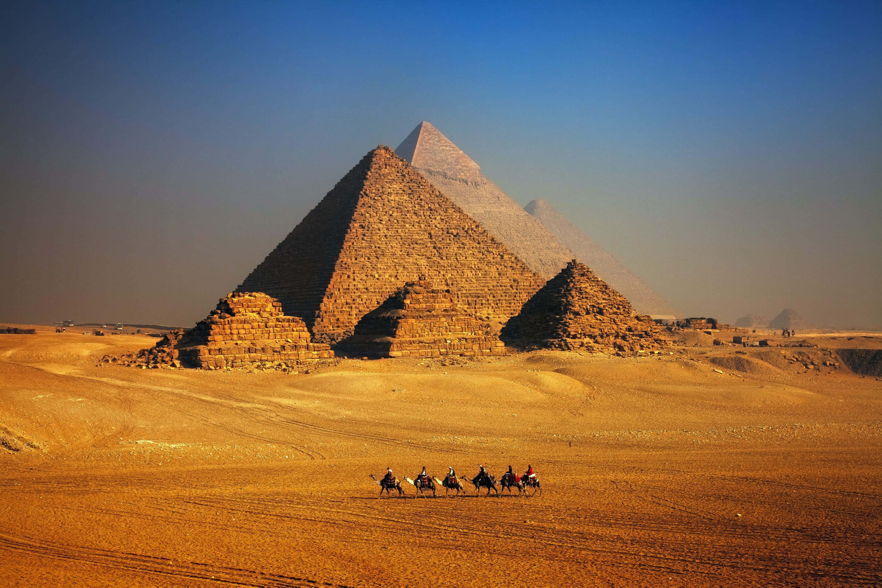The Pyramids of Giza, camels, desert, 2K Desktop Wallpaper