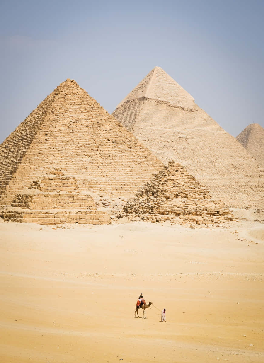 Pyramids of Giza, camel caravan, golden desert sands, SD Phone Wallpaper