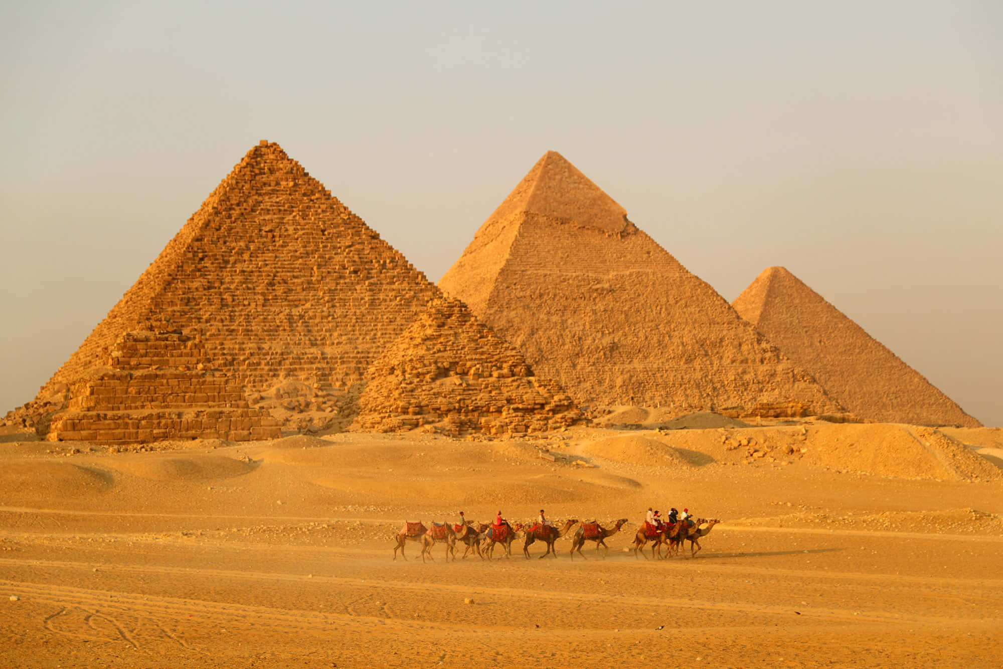 Pyramids of Giza, camels, caravan, Full HD Desktop Wallpaper