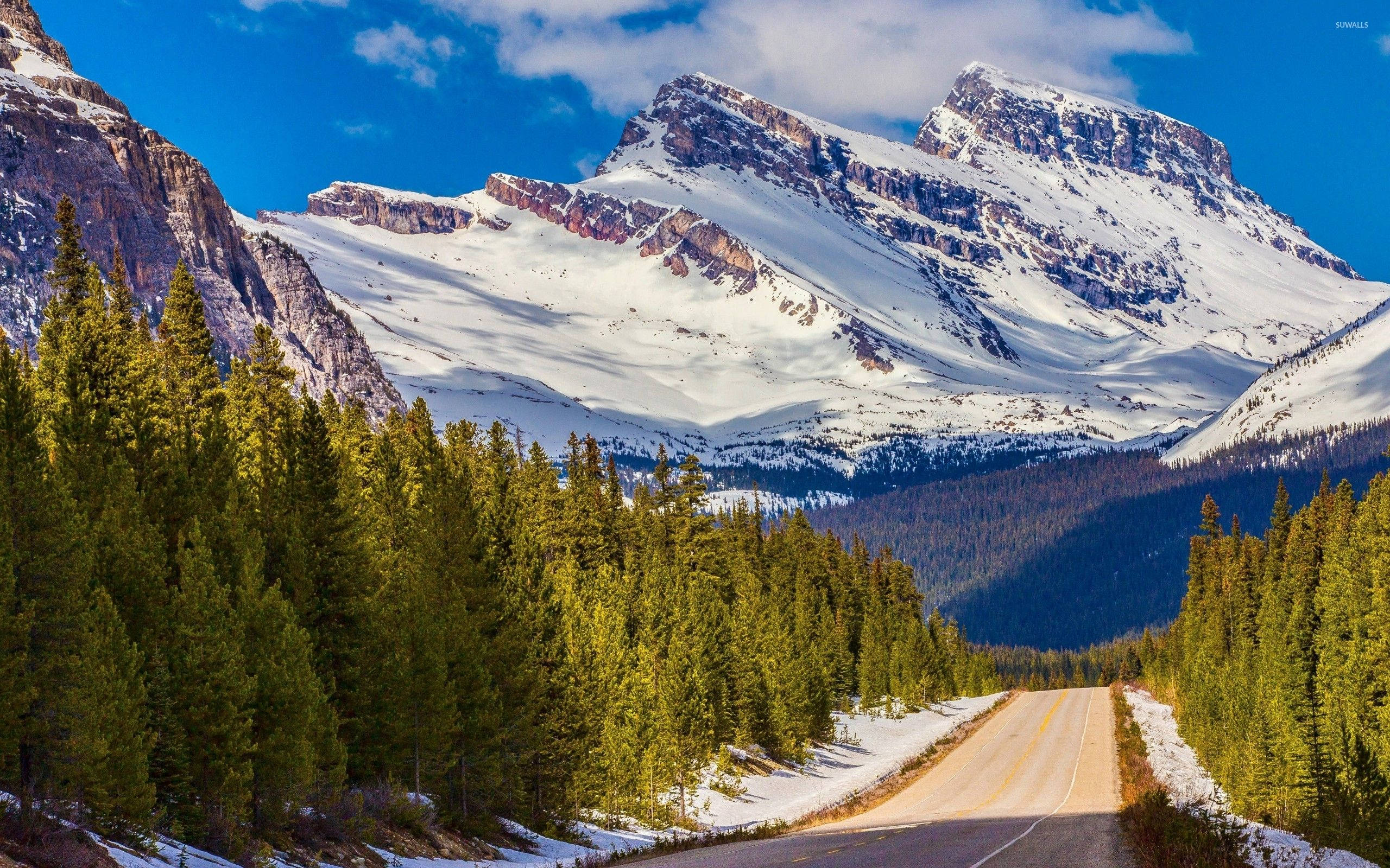 Glacier National Park, winding road, dense forest, 2K Desktop Wallpaper
