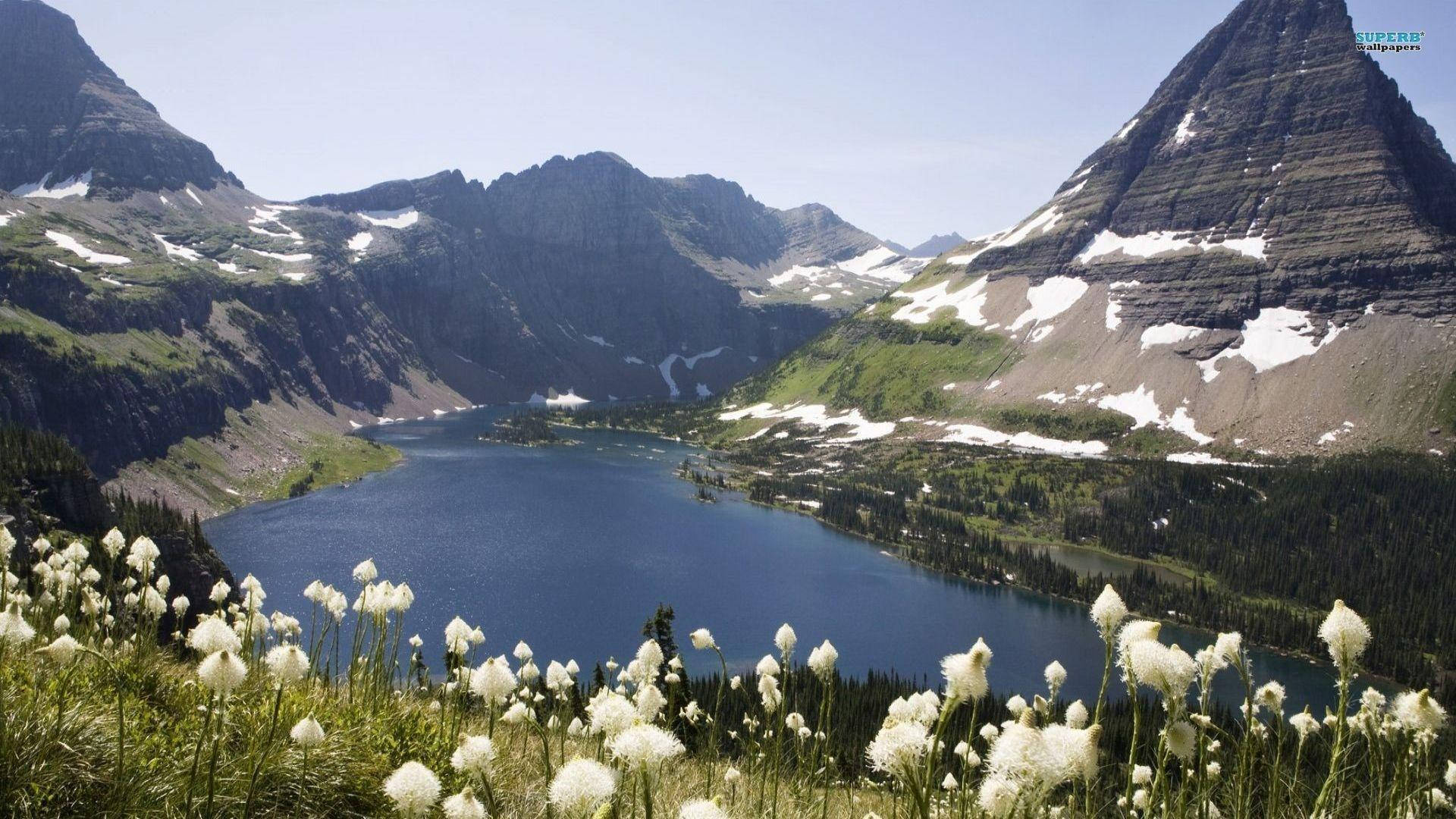 Glacier National Park, bear grass, alpine lake, Full HD Desktop Wallpaper