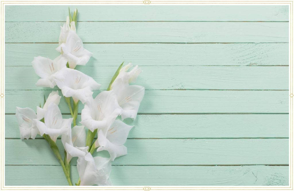 gladiolus flowers, white gladiolus flowers, soft mint green wooden plank background, SD Desktop Wallpaper