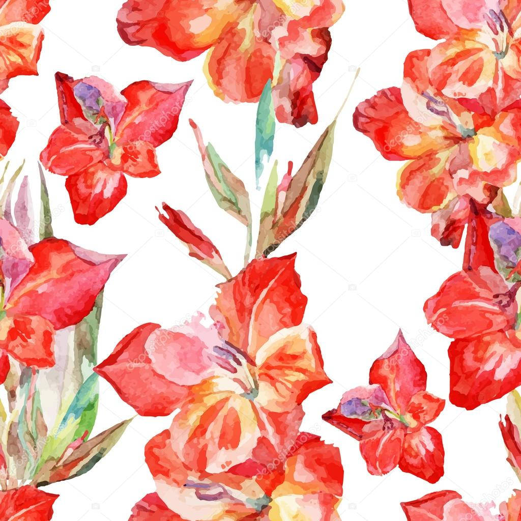 gladiolus, red orange, pink, SD Desktop Wallpaper