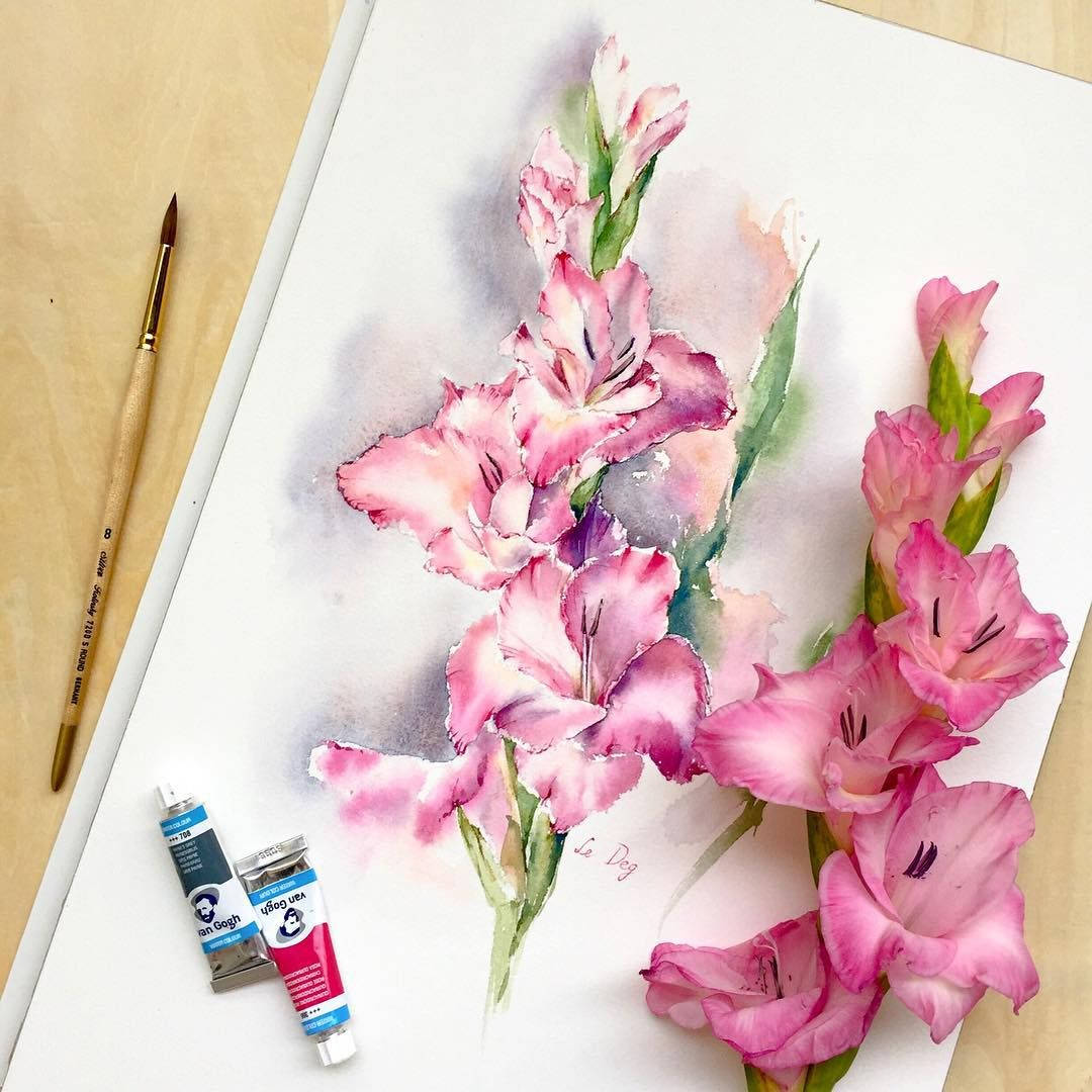 watercolor painting, pink gladiolus flowers, white paper, SD Desktop Wallpaper