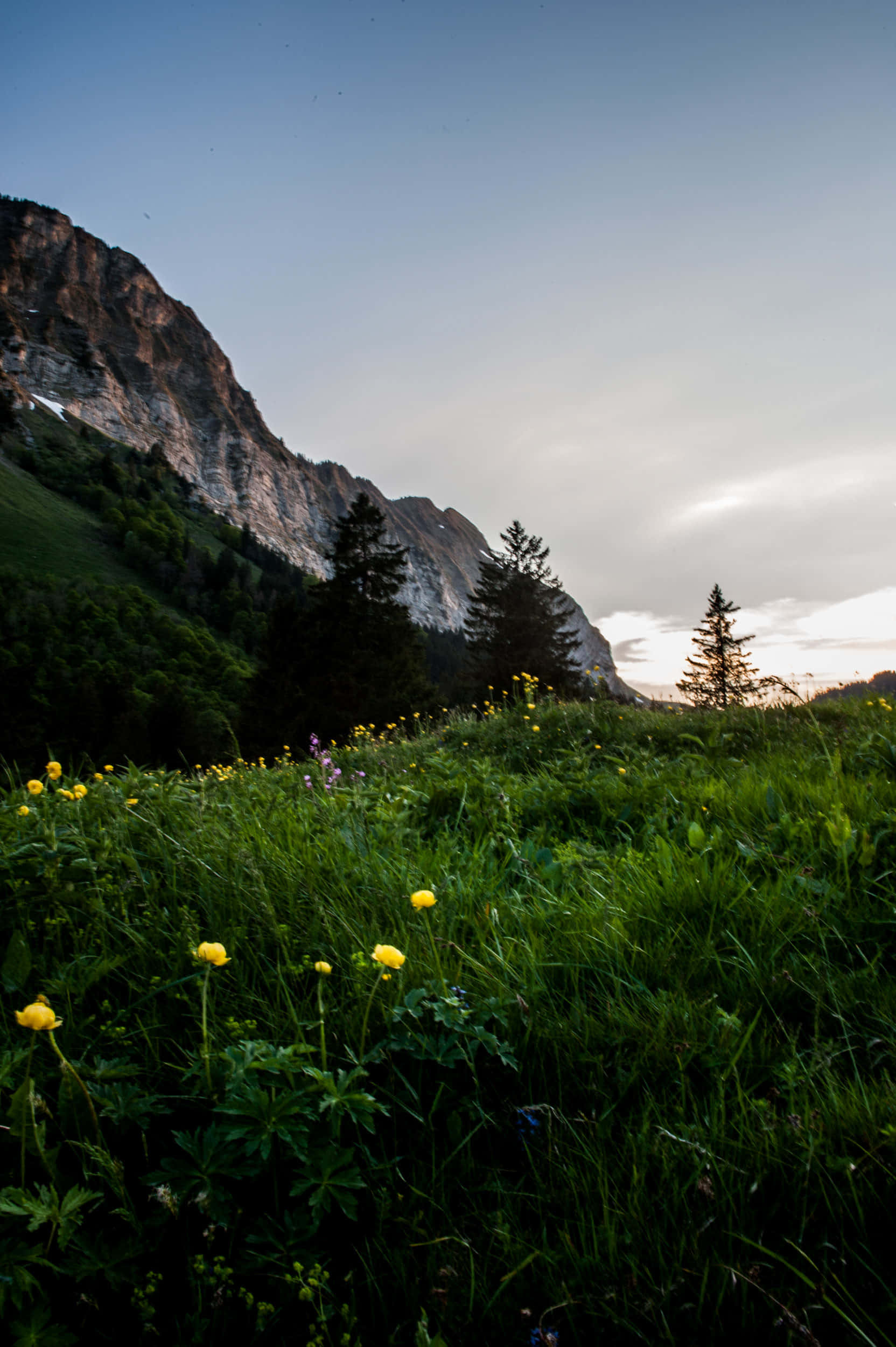 Glarus, mountain meadow, dusk, Full HD Phone Wallpaper