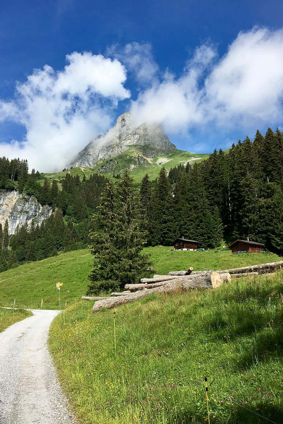 Glarus, mountain path, summer, HD Phone Wallpaper