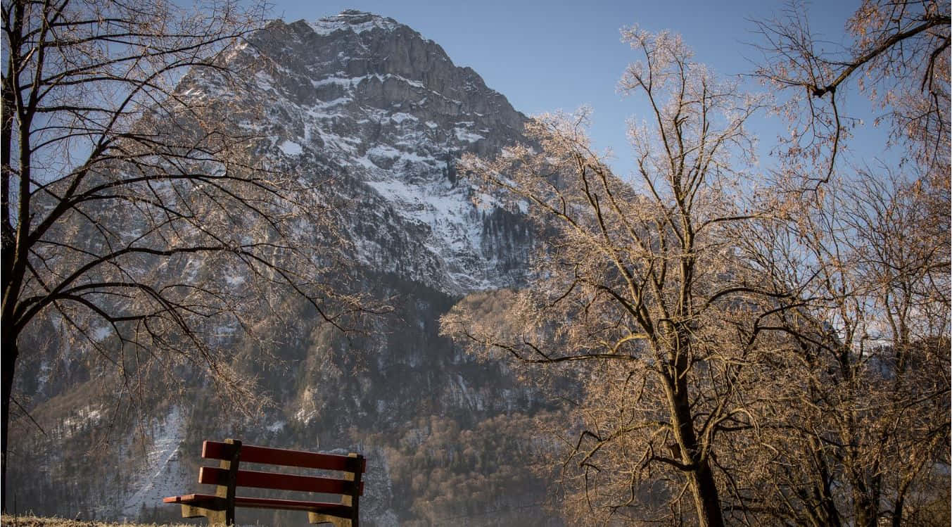 Glarus, red wooden bench, bare trees, HD Desktop Wallpaper