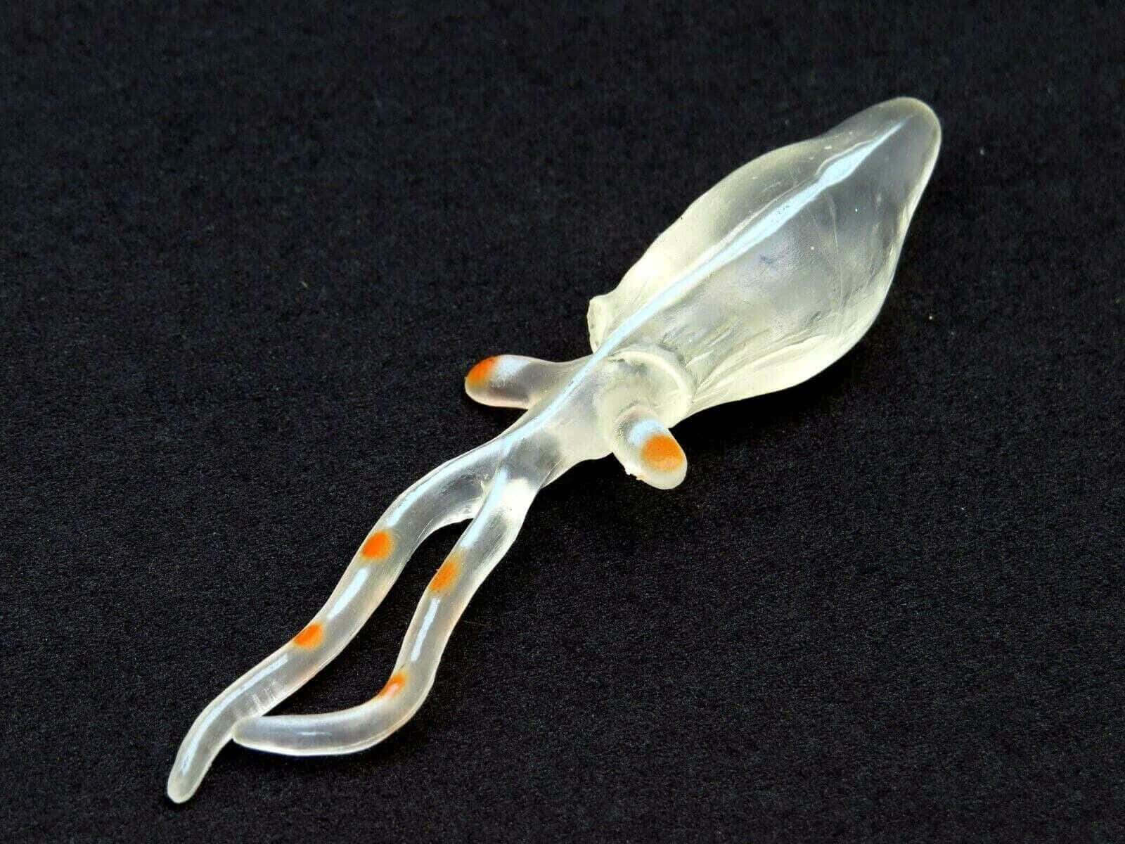 Glass Squid, transparent sea creature, orange spots, HD Desktop Wallpaper