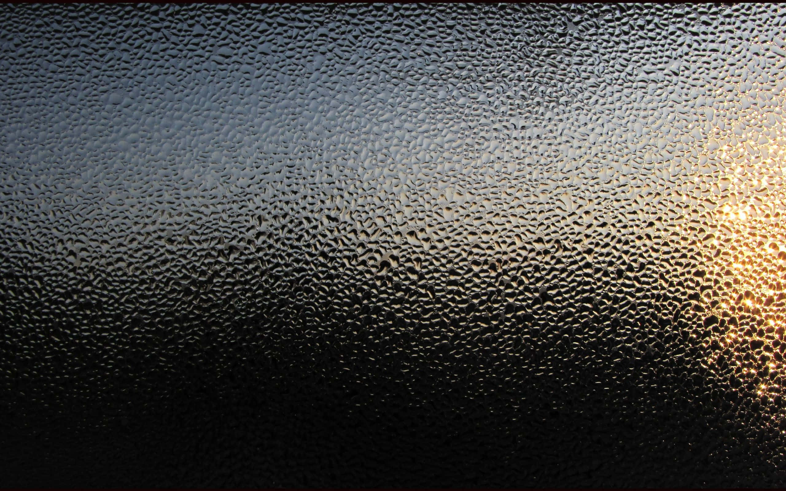 sunrise, textured glass, raindrops, 2K Desktop Wallpaper